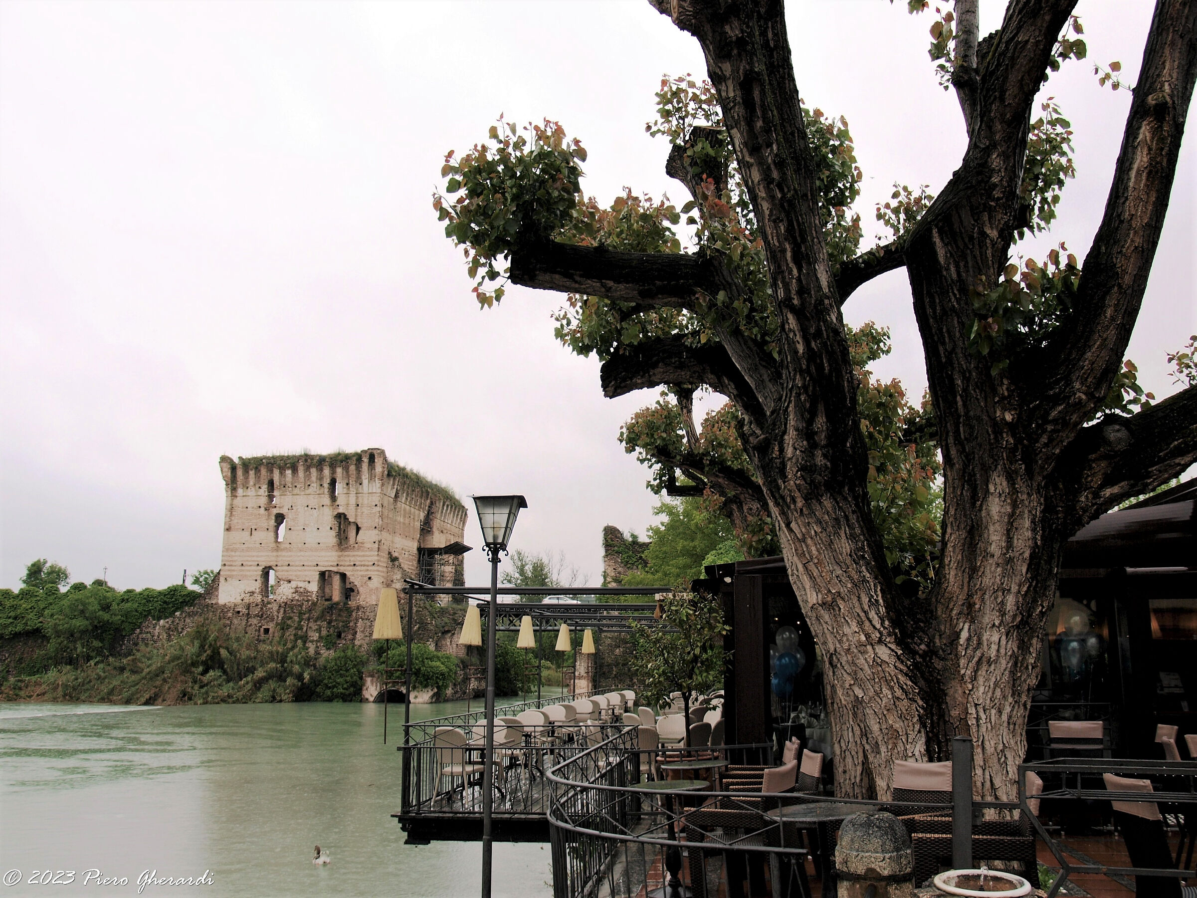 Viaggi