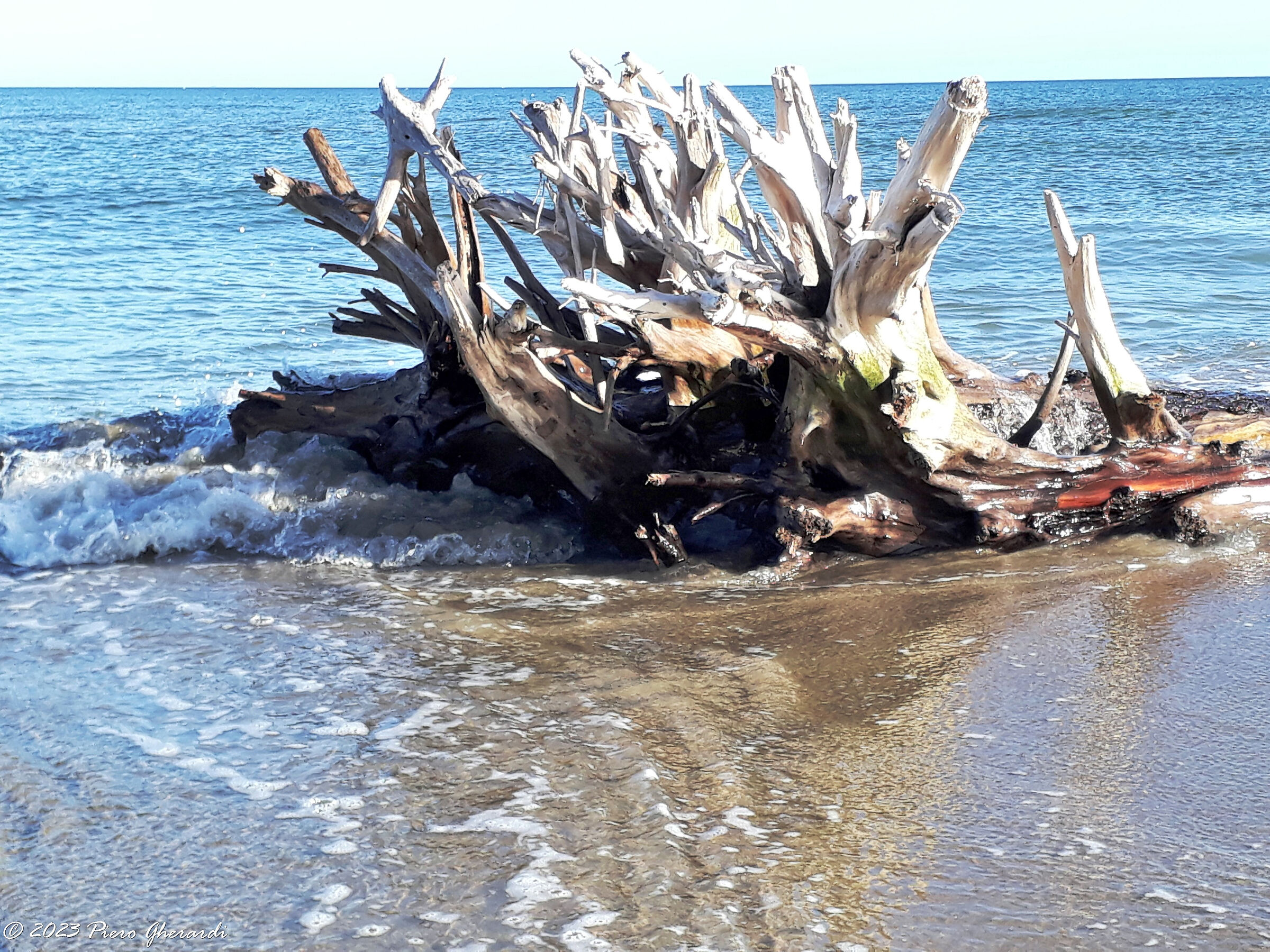 Spiaggia
