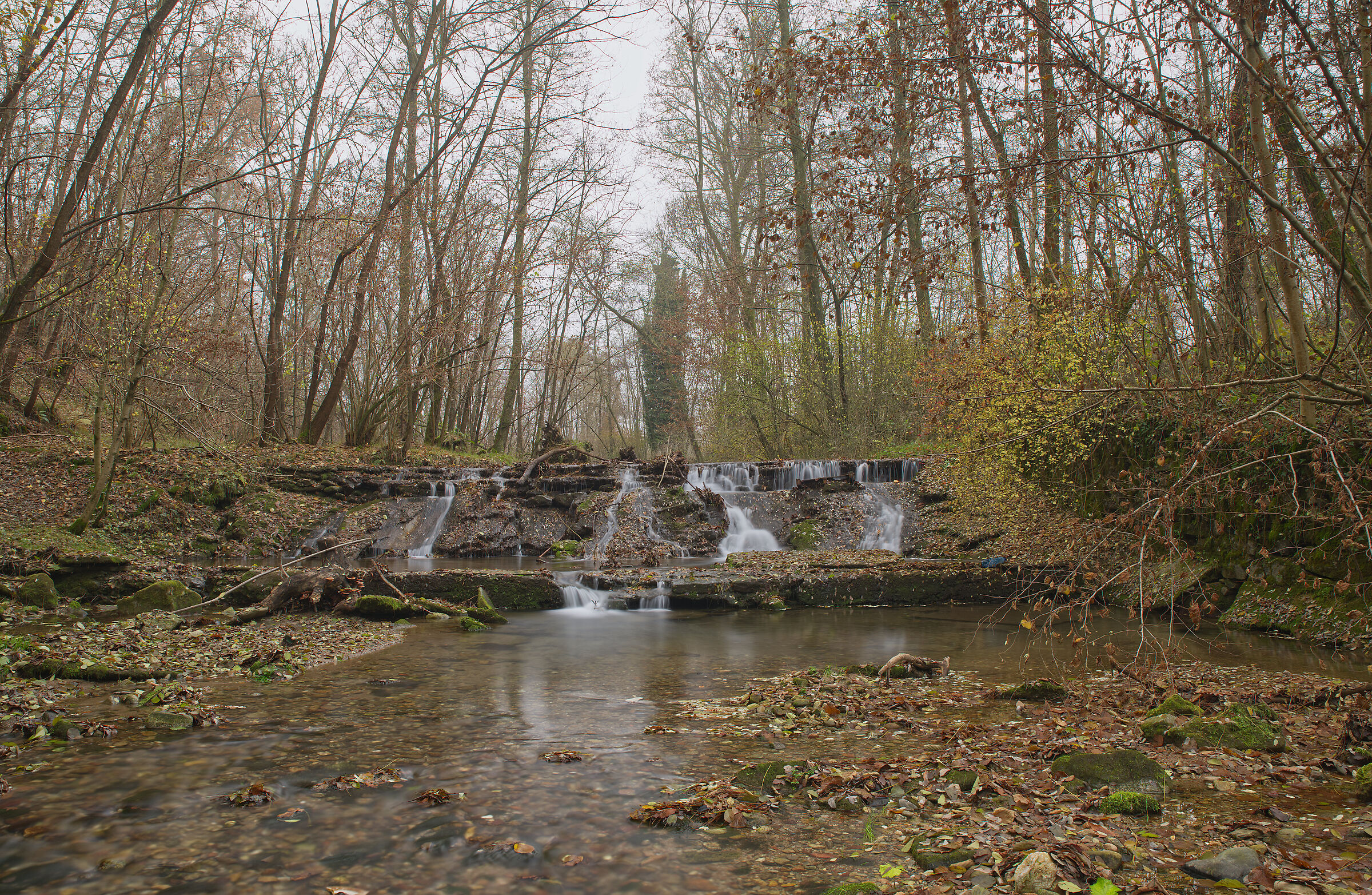 November 2021, the Vevera stream