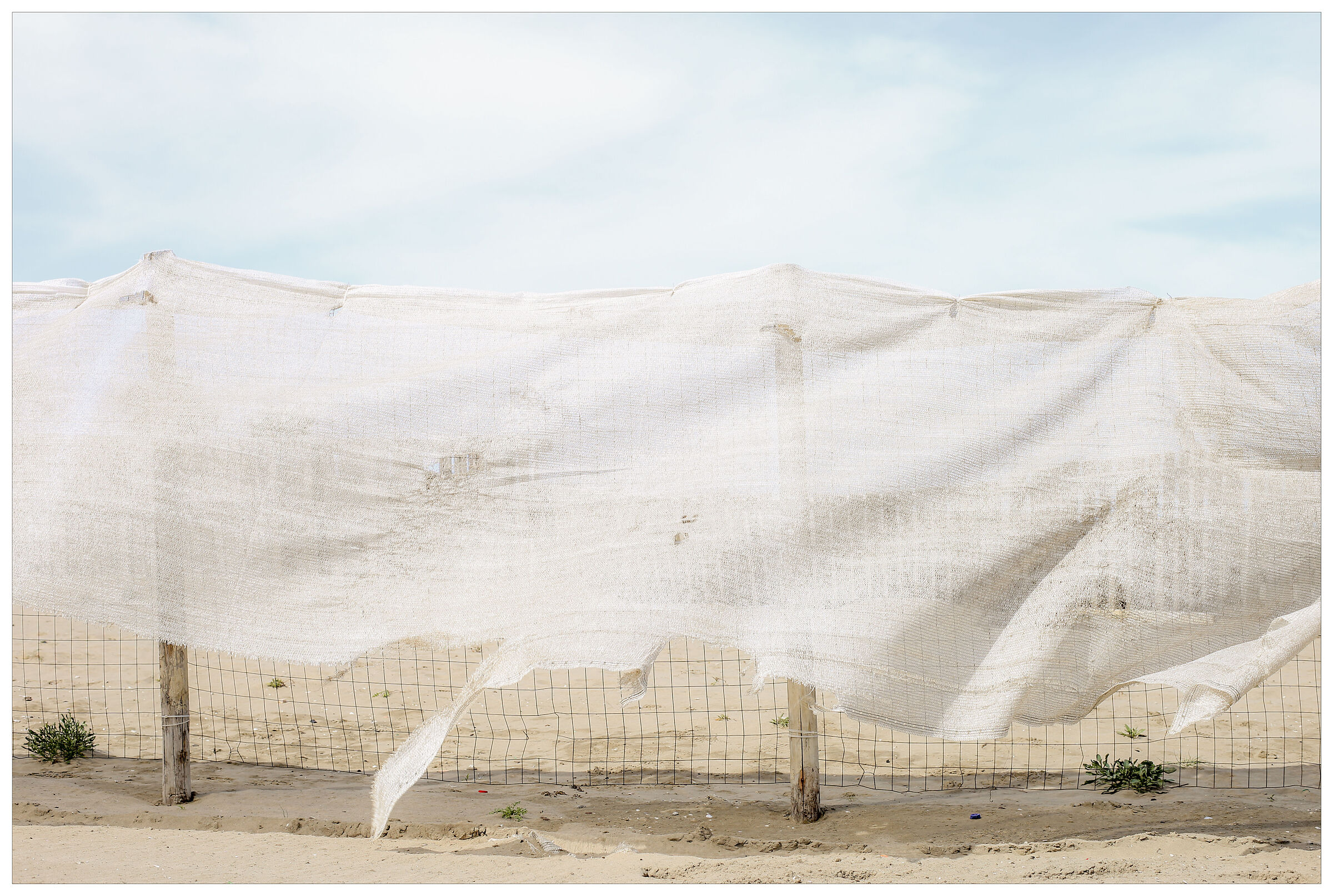 You can't stop the wind