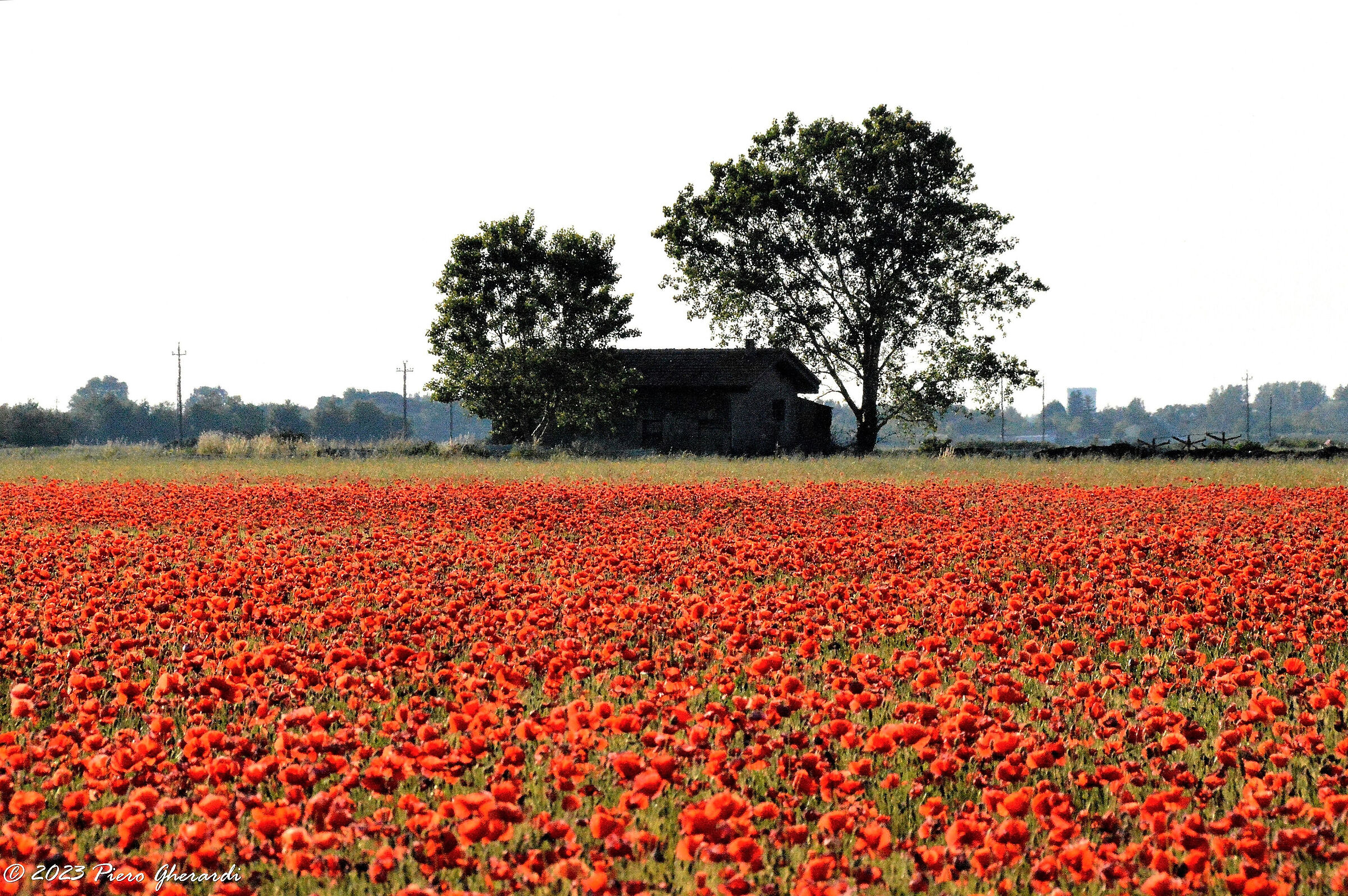 Campagna