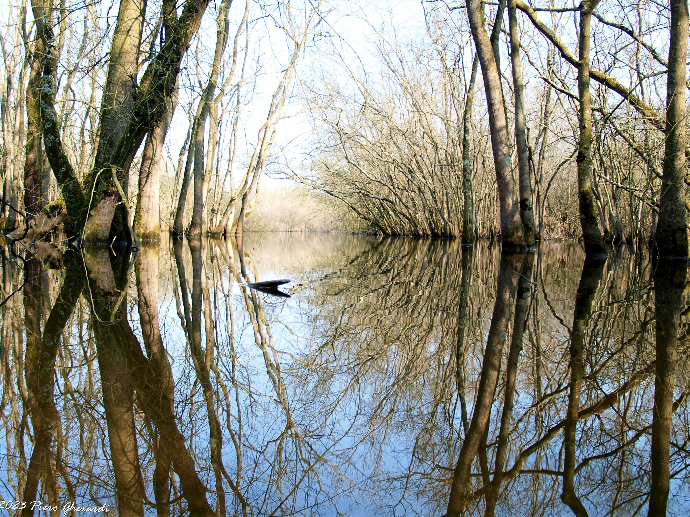 Punte Alberete