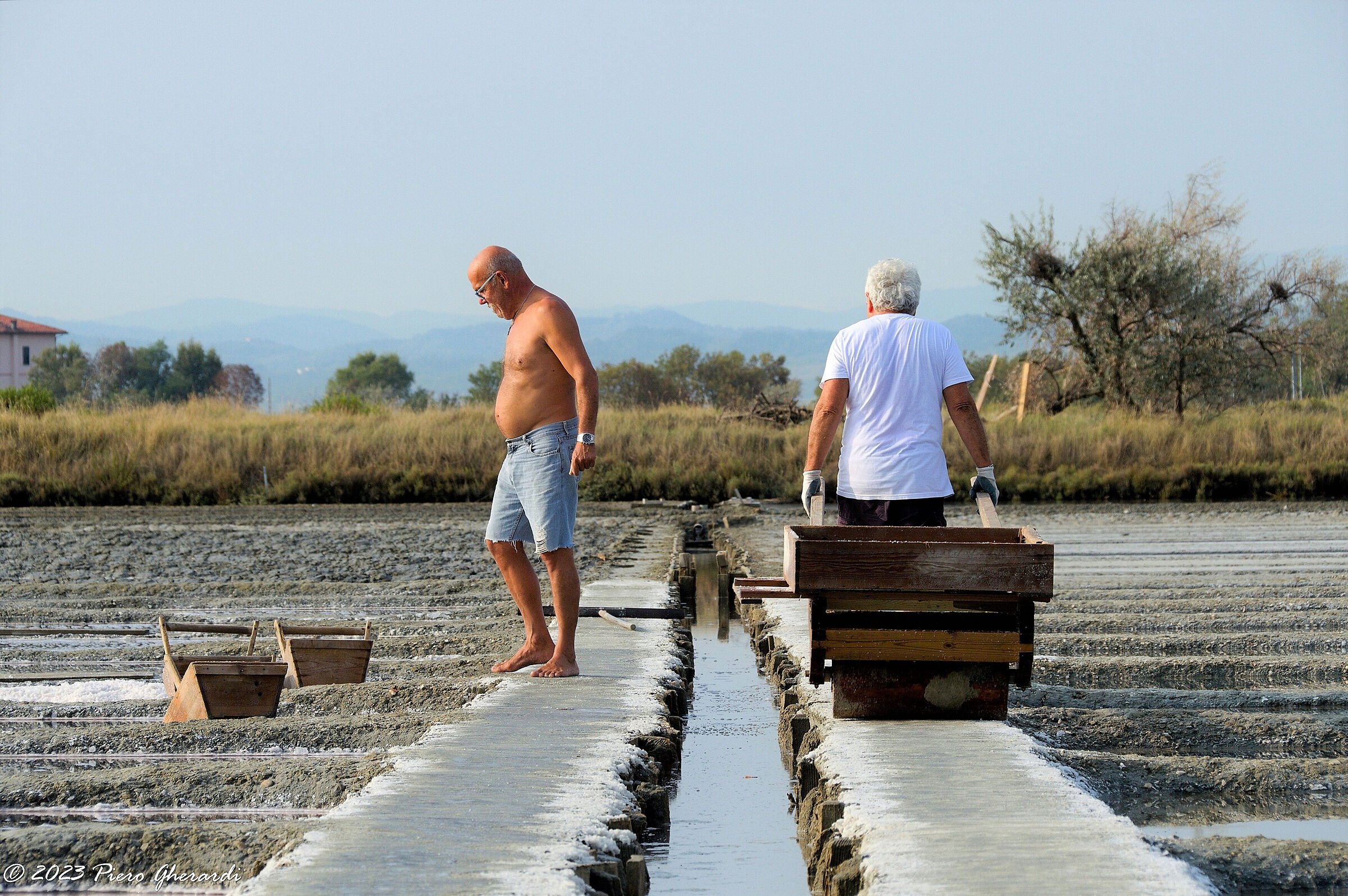 Saline di Cervia
