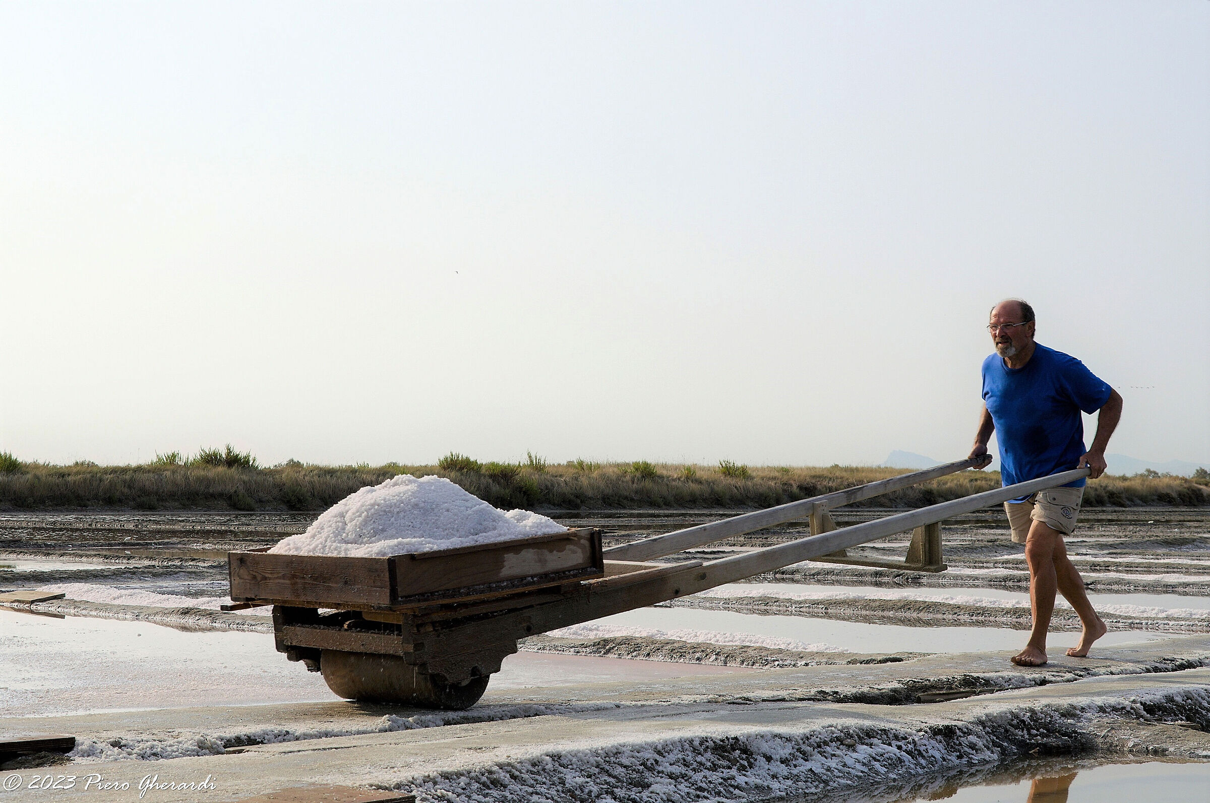 Saline di Cervia