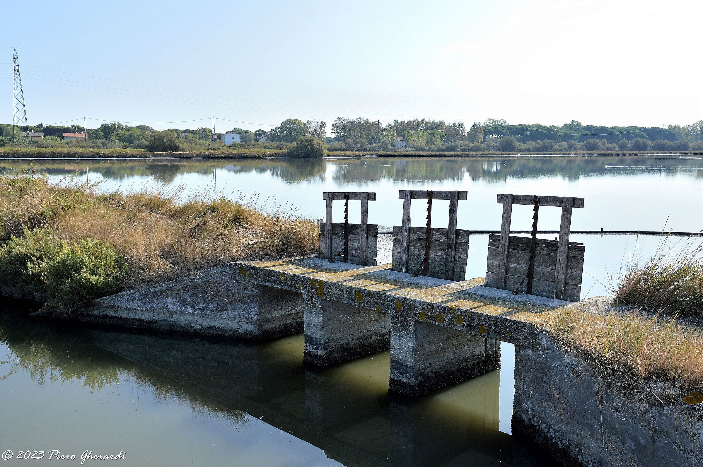 Saline di Cervia
