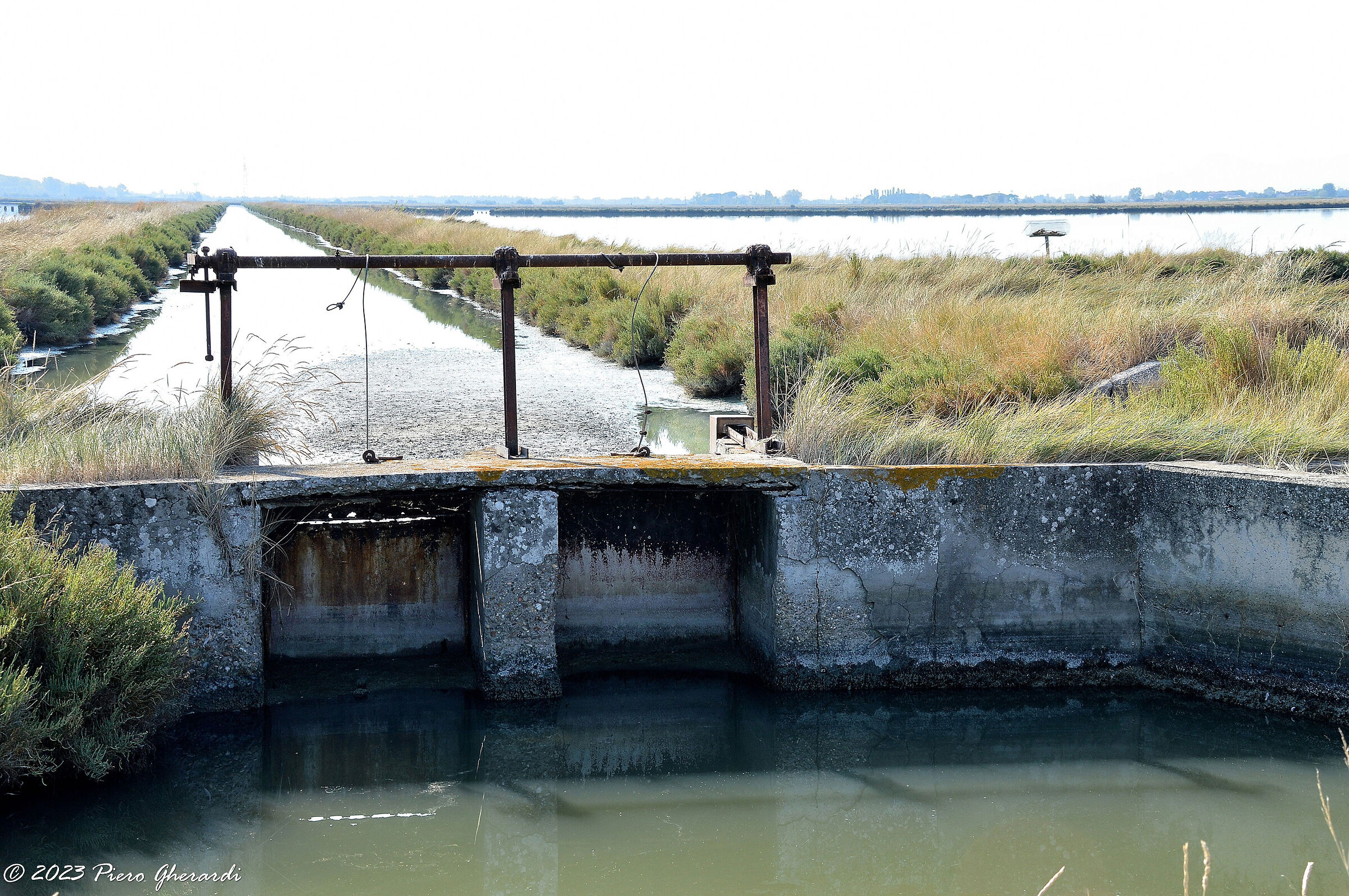 Saline di Cervia
