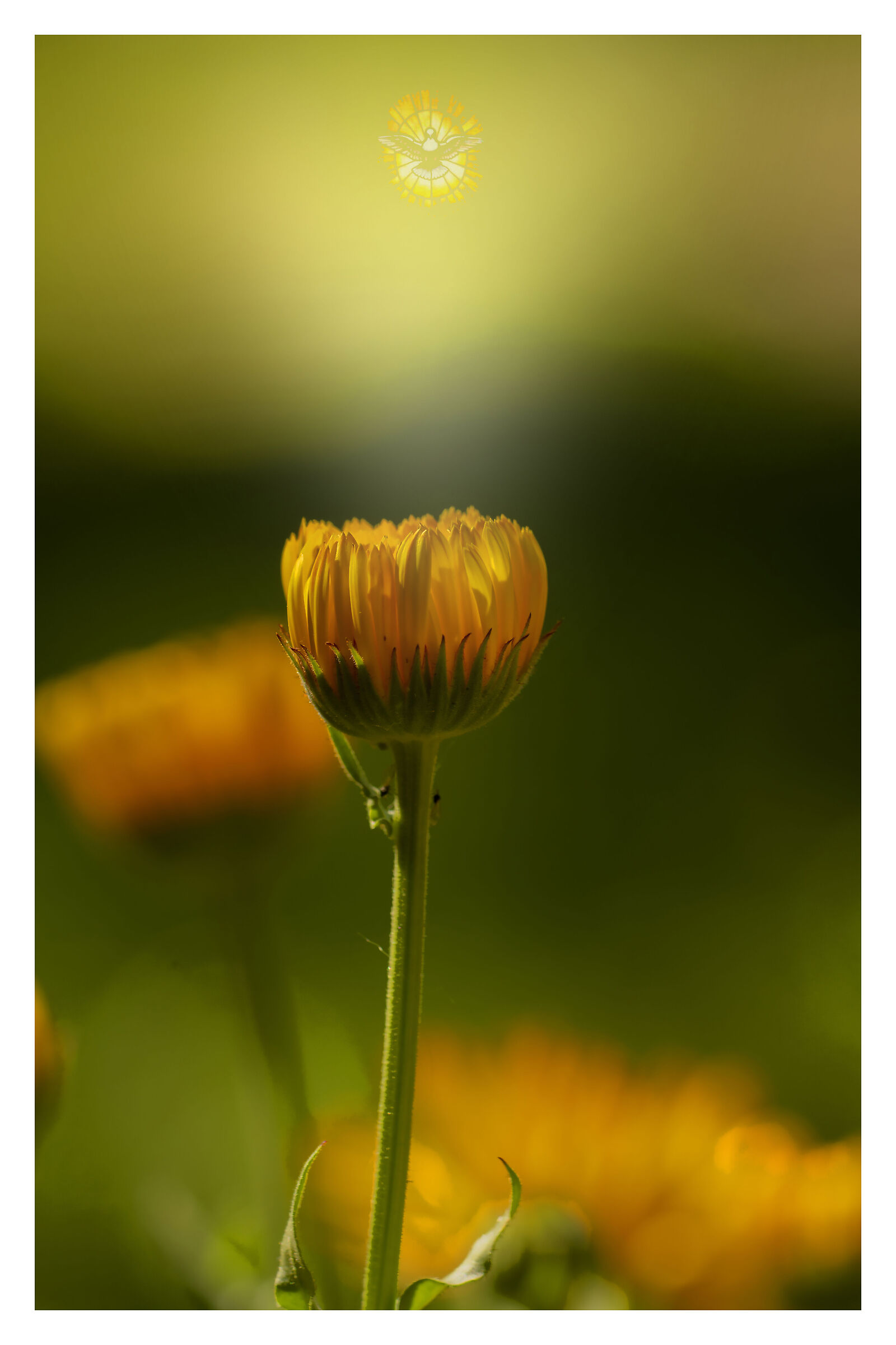 And the Spirit will speak to all hearts in the world