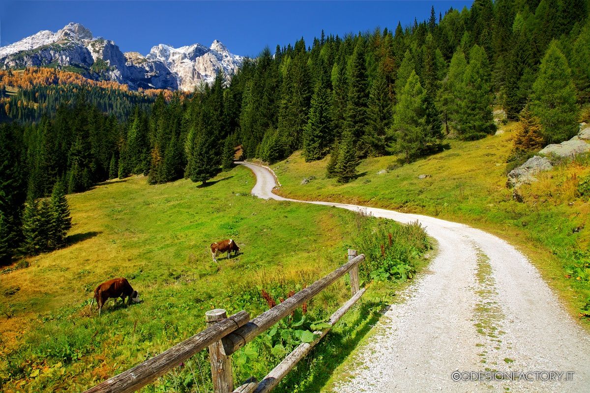 Strada nel Sud Tirolo