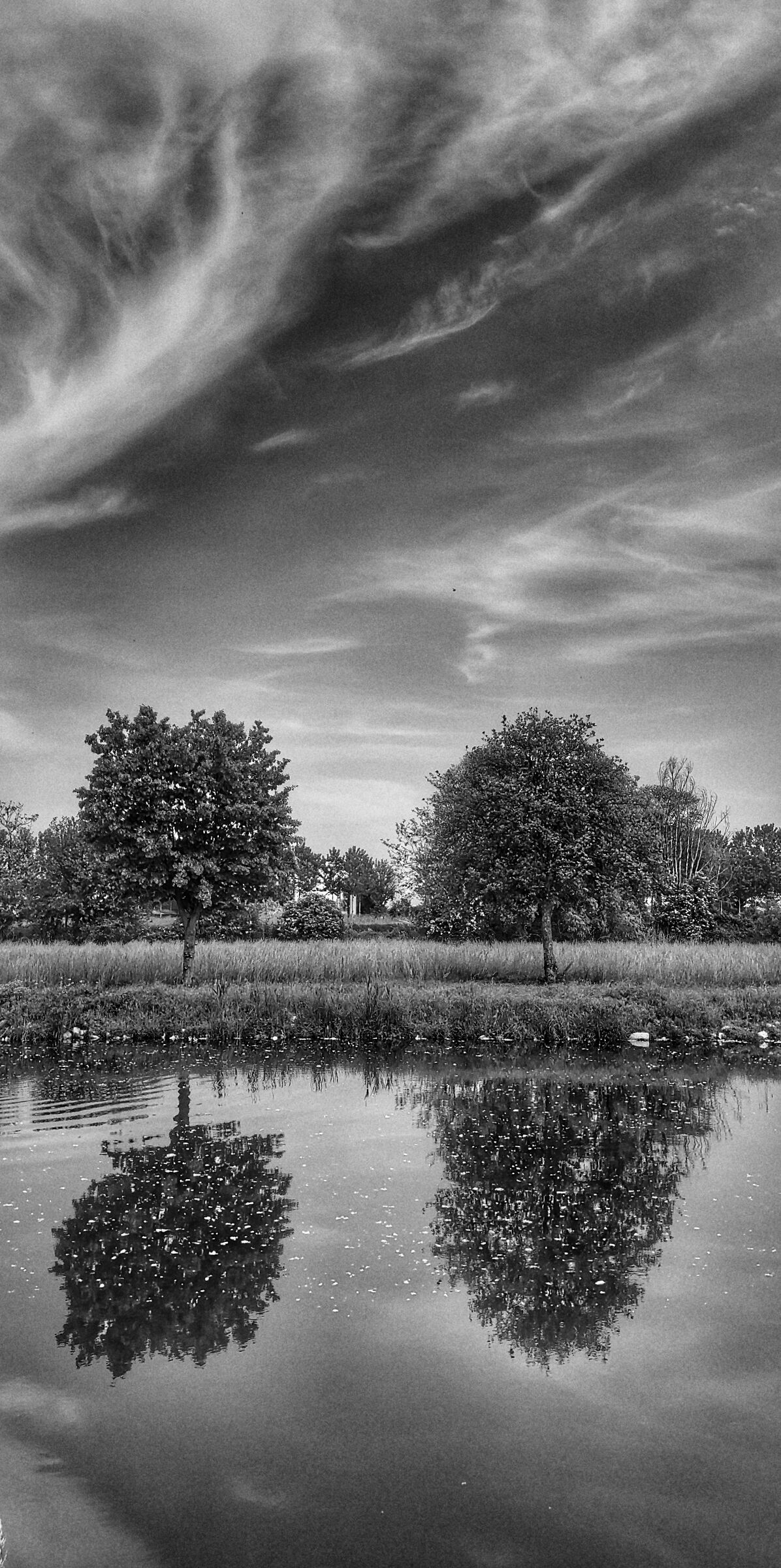 Along the Muzza Canal