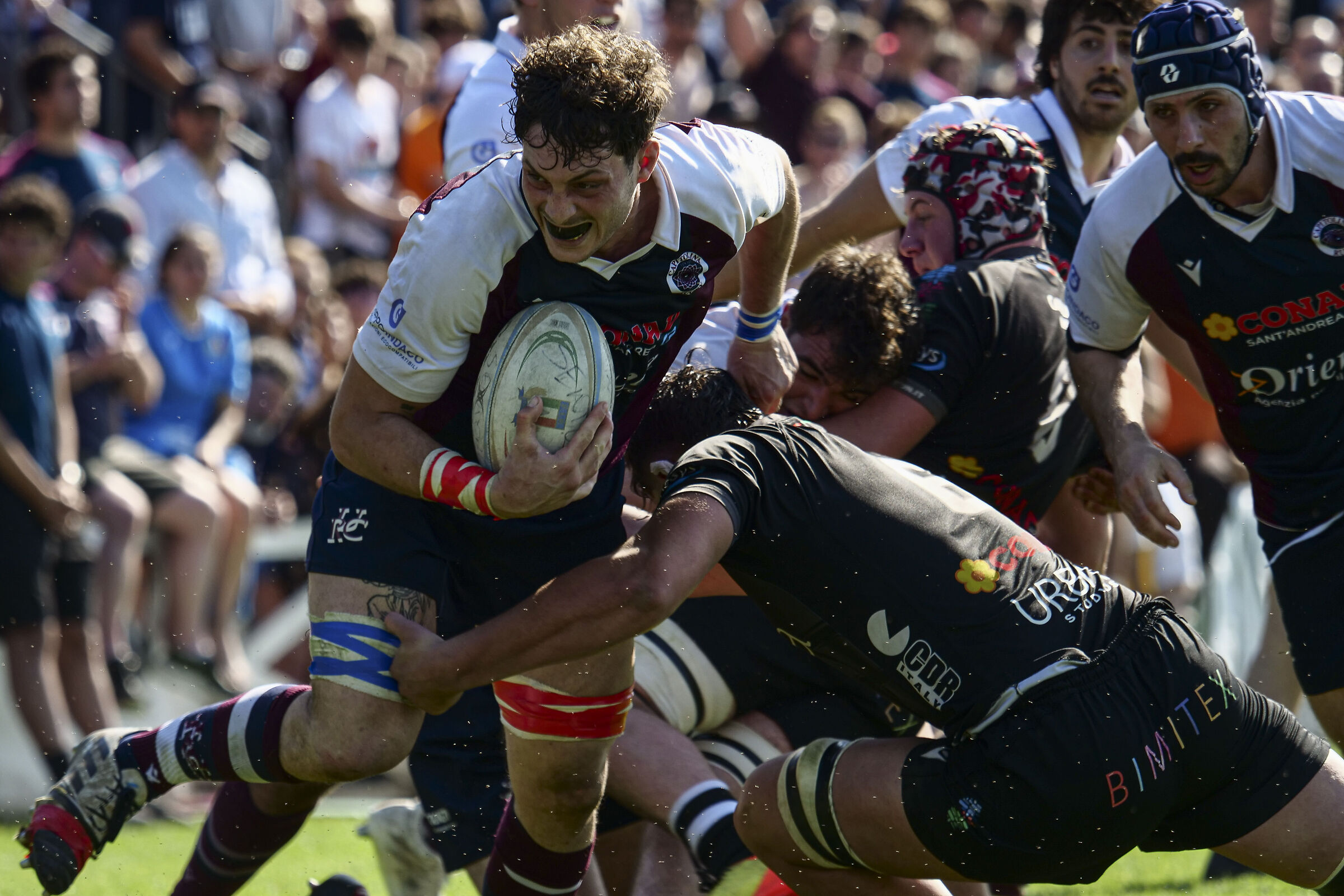 Unione Rugby Capitolina vs Cavalieri Union Rugby