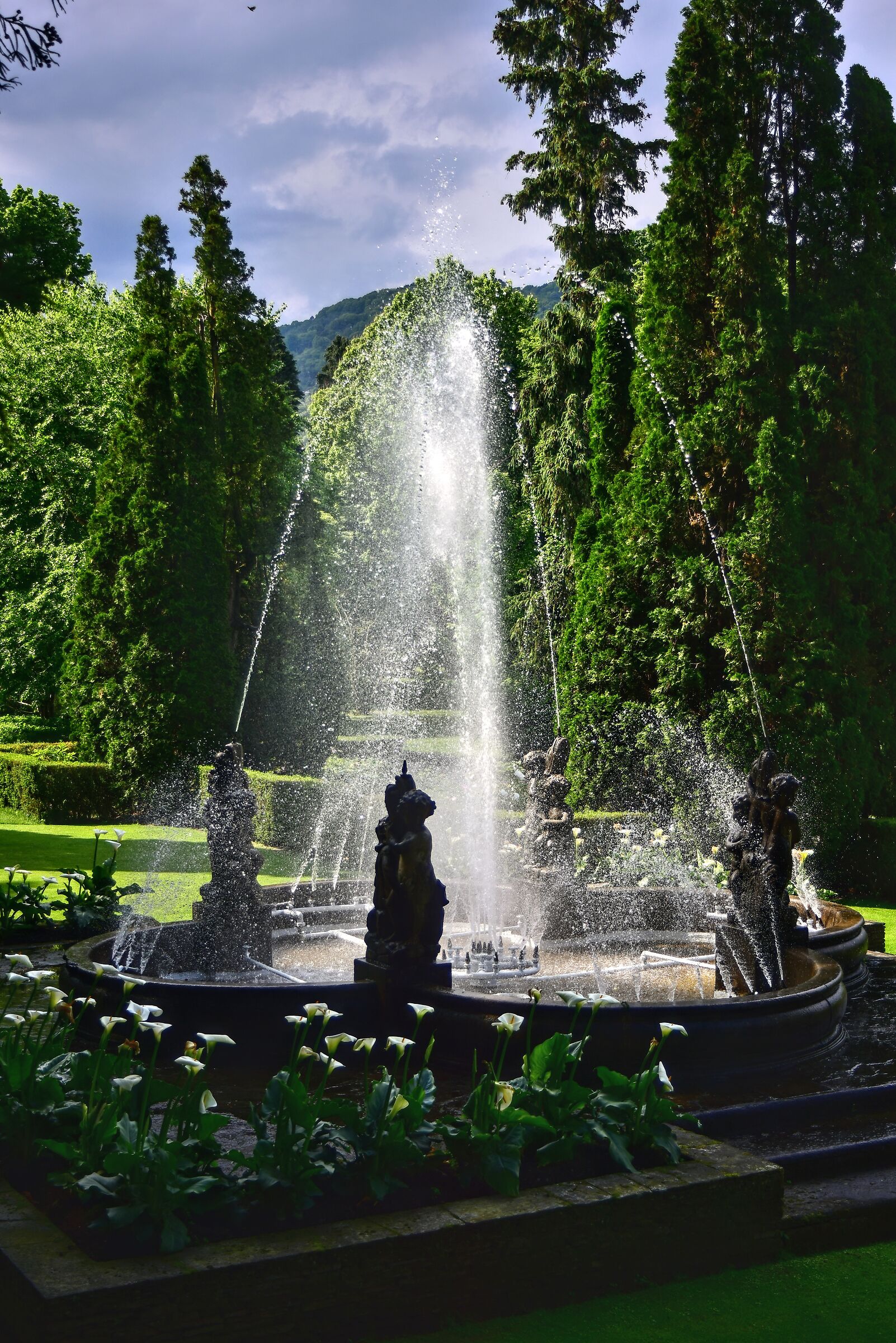 Fontana nel parco