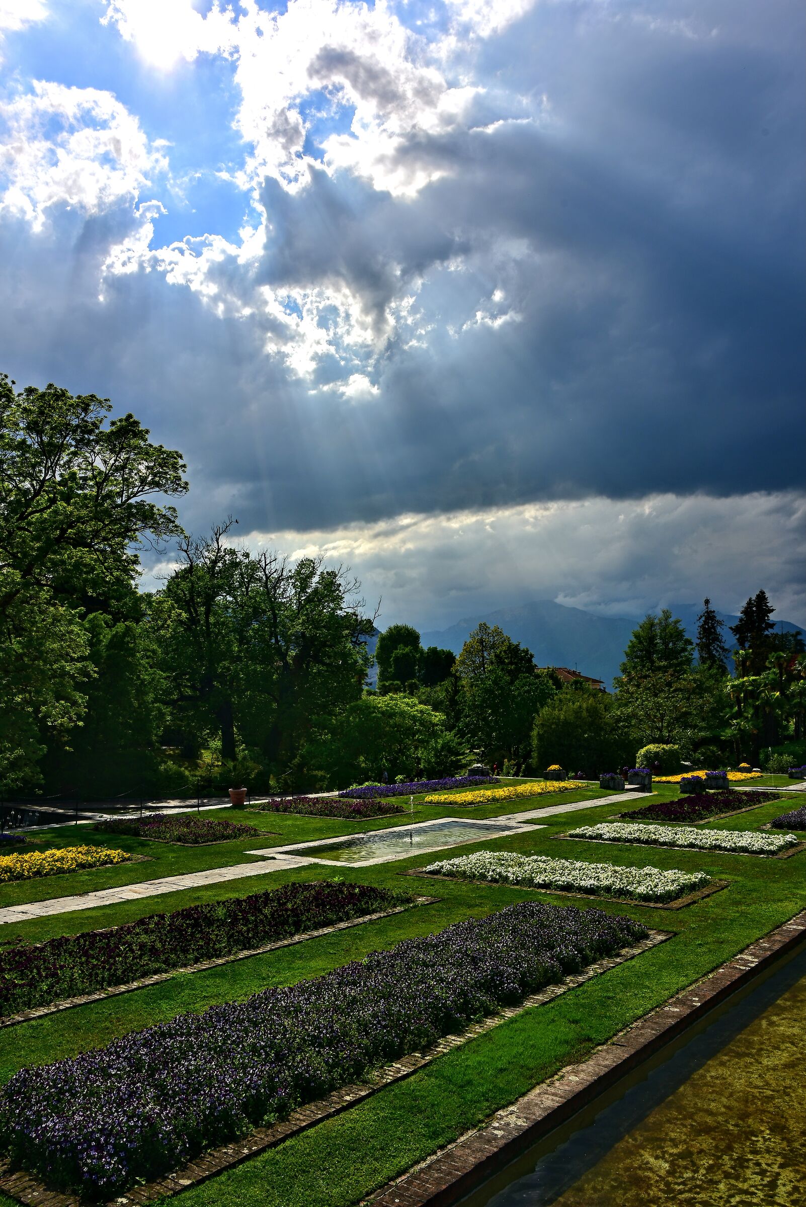Raggi di sole sul giardino
