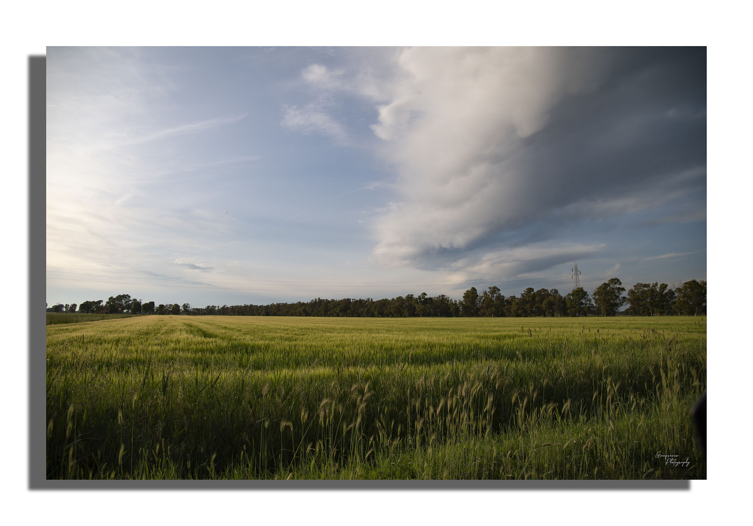 Fields and clouds