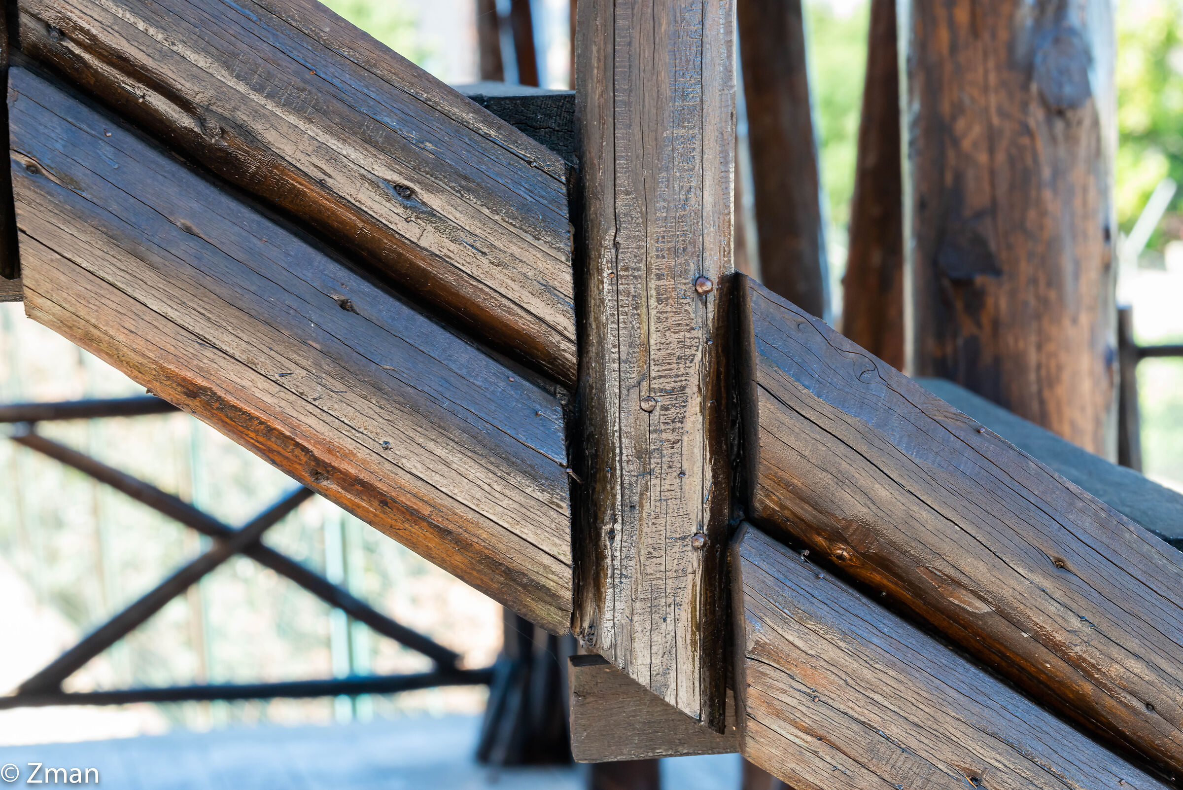 Forms in Timber