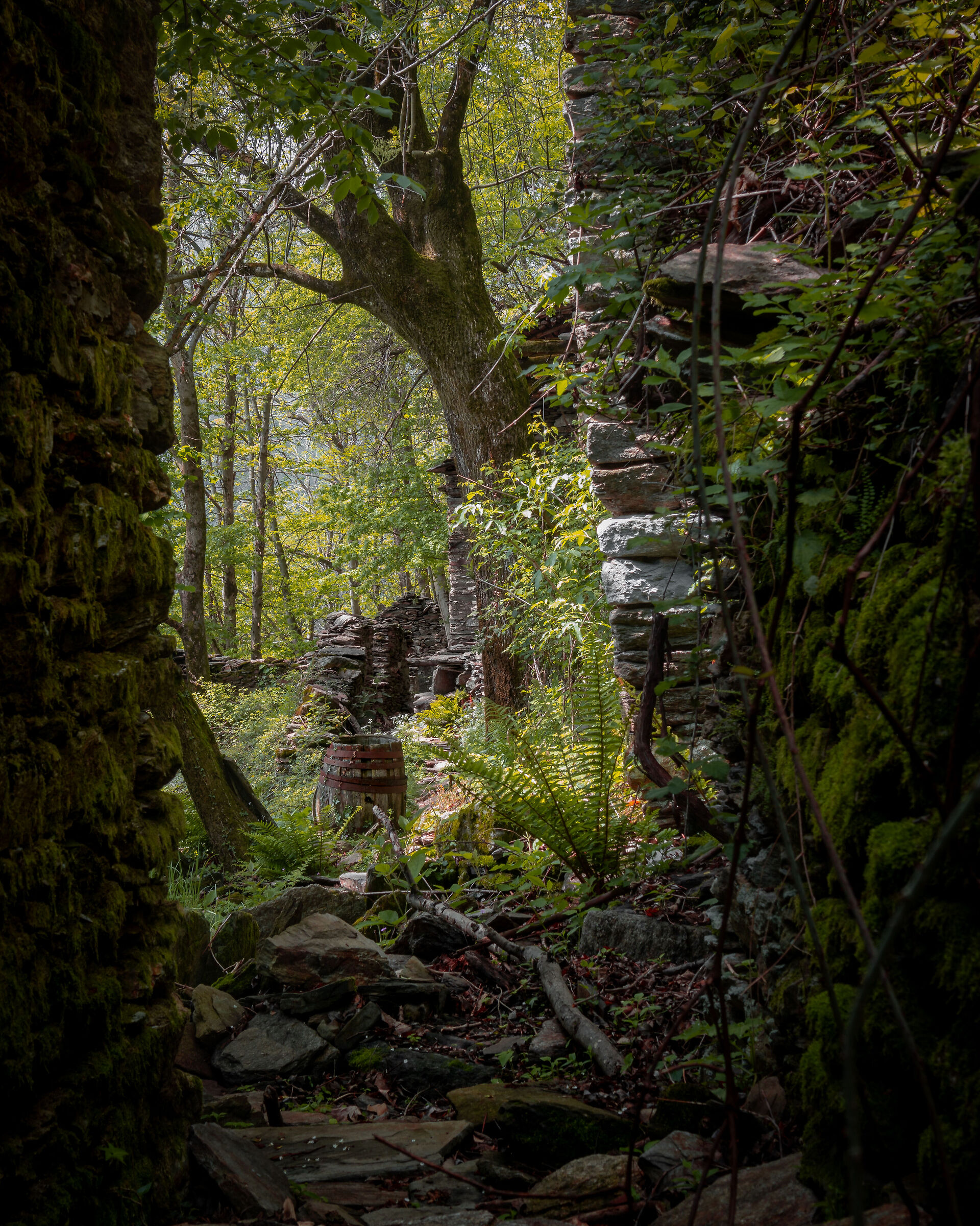 A barrel in the village of Montuzzo