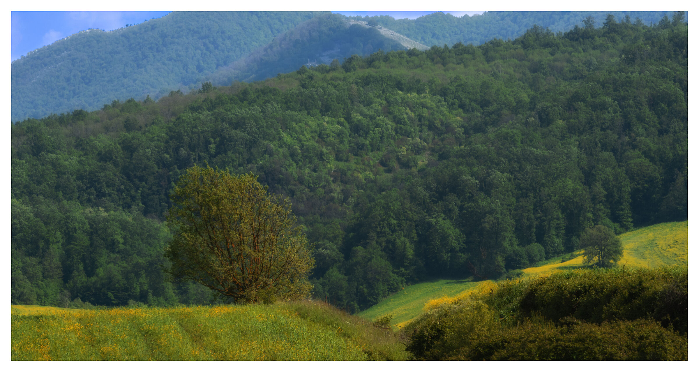 Zone di vasto respiro