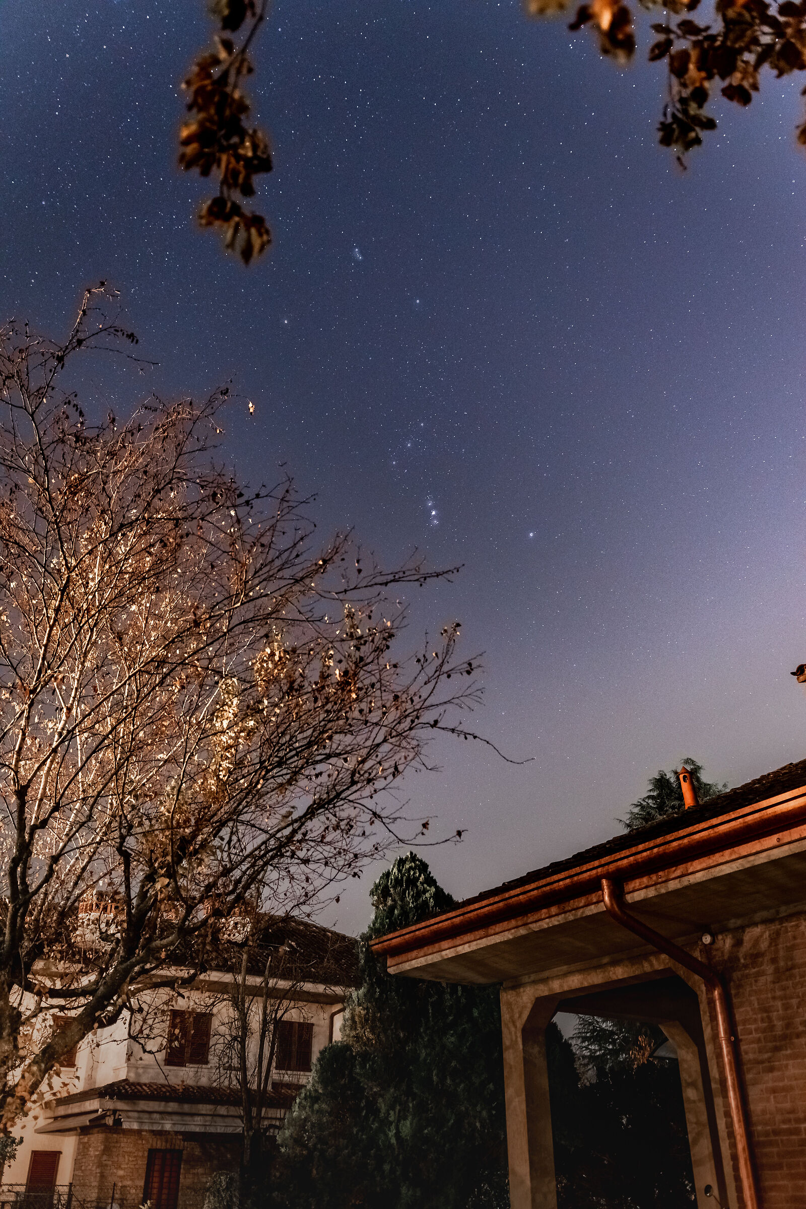 HDR constellation Orion set in garden