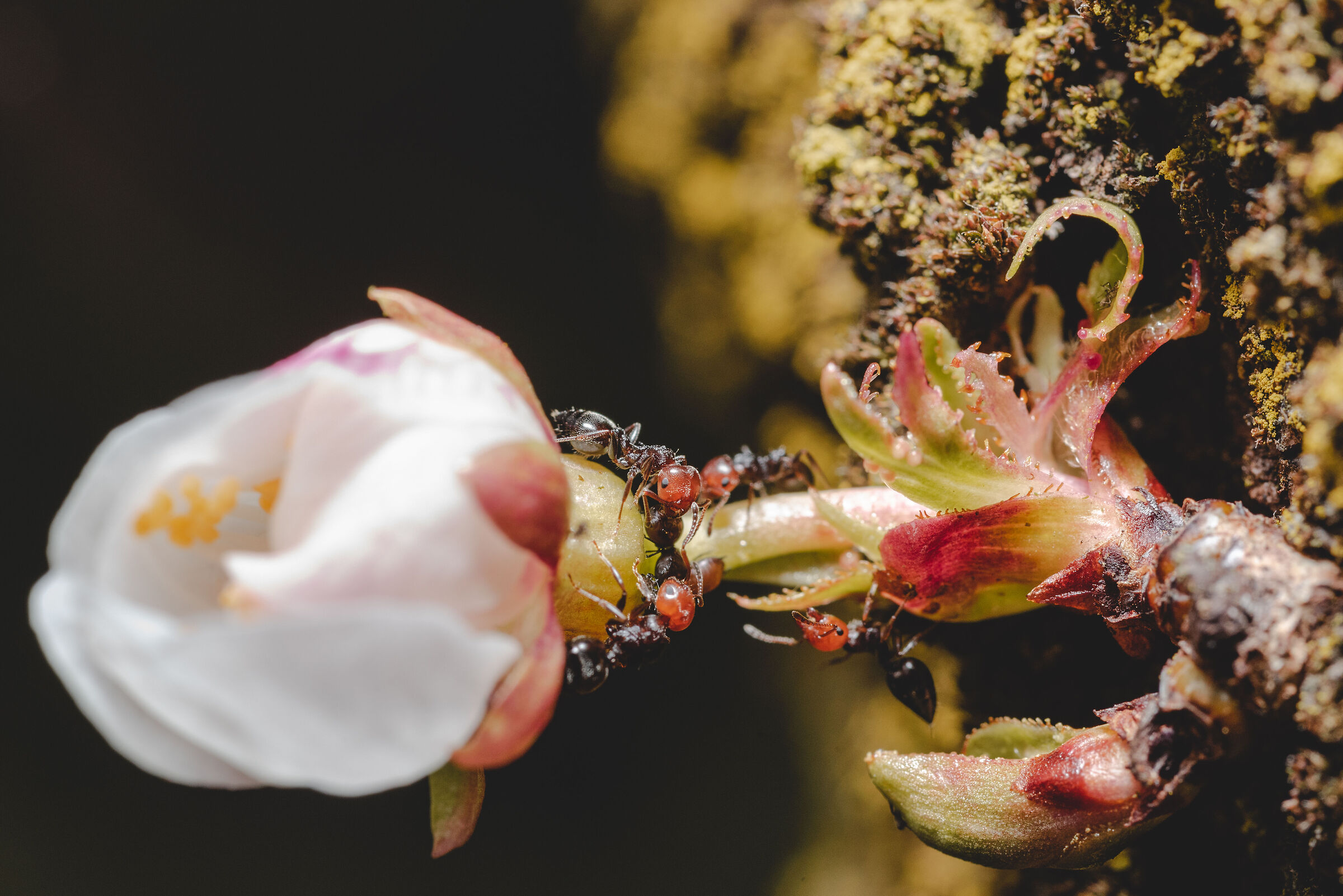 Untitled Photo
