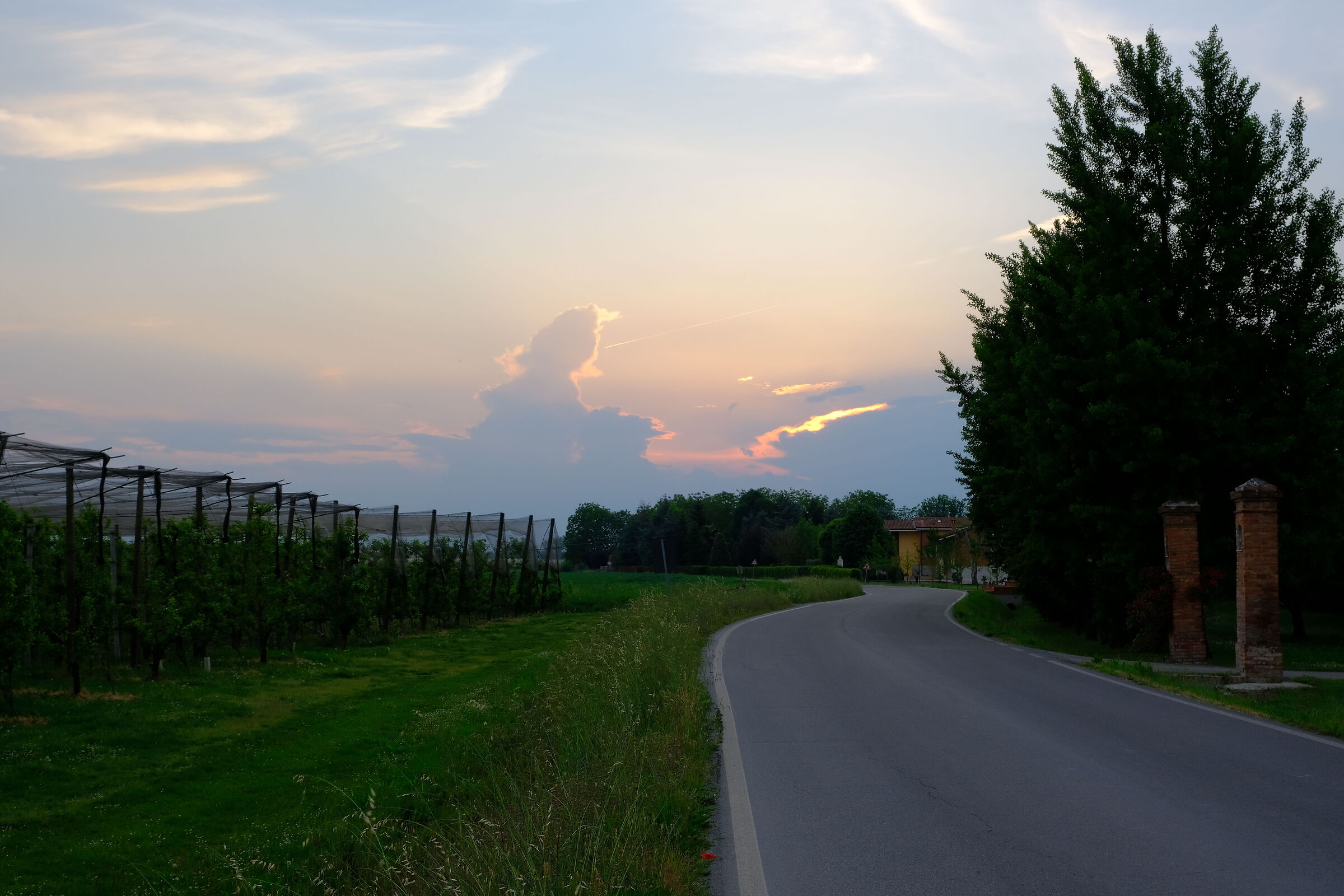 Campagna modenese
