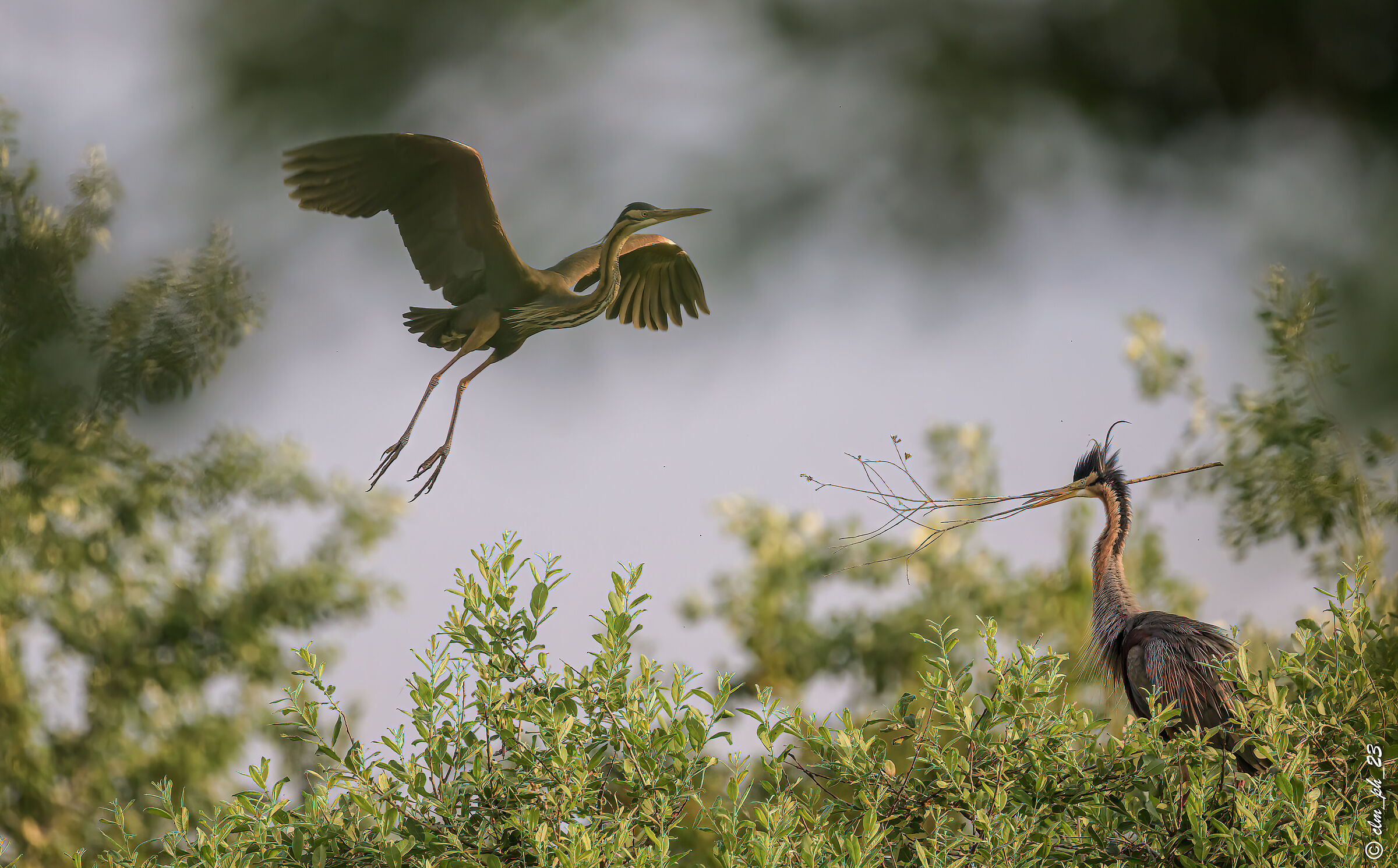 Livorno Ferraris (Vc) - Italy