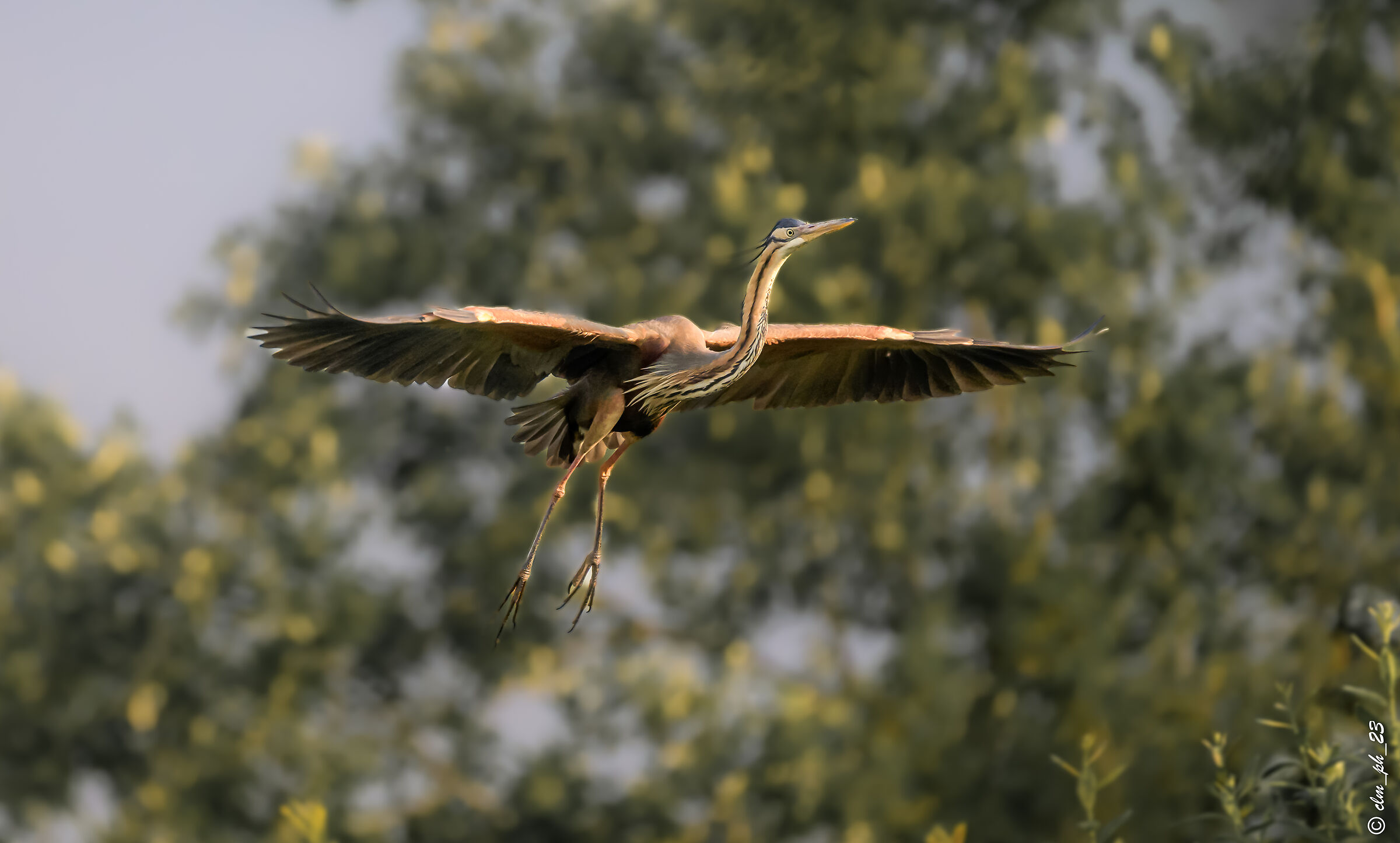 Livorno Ferraris (Vc) - Italy