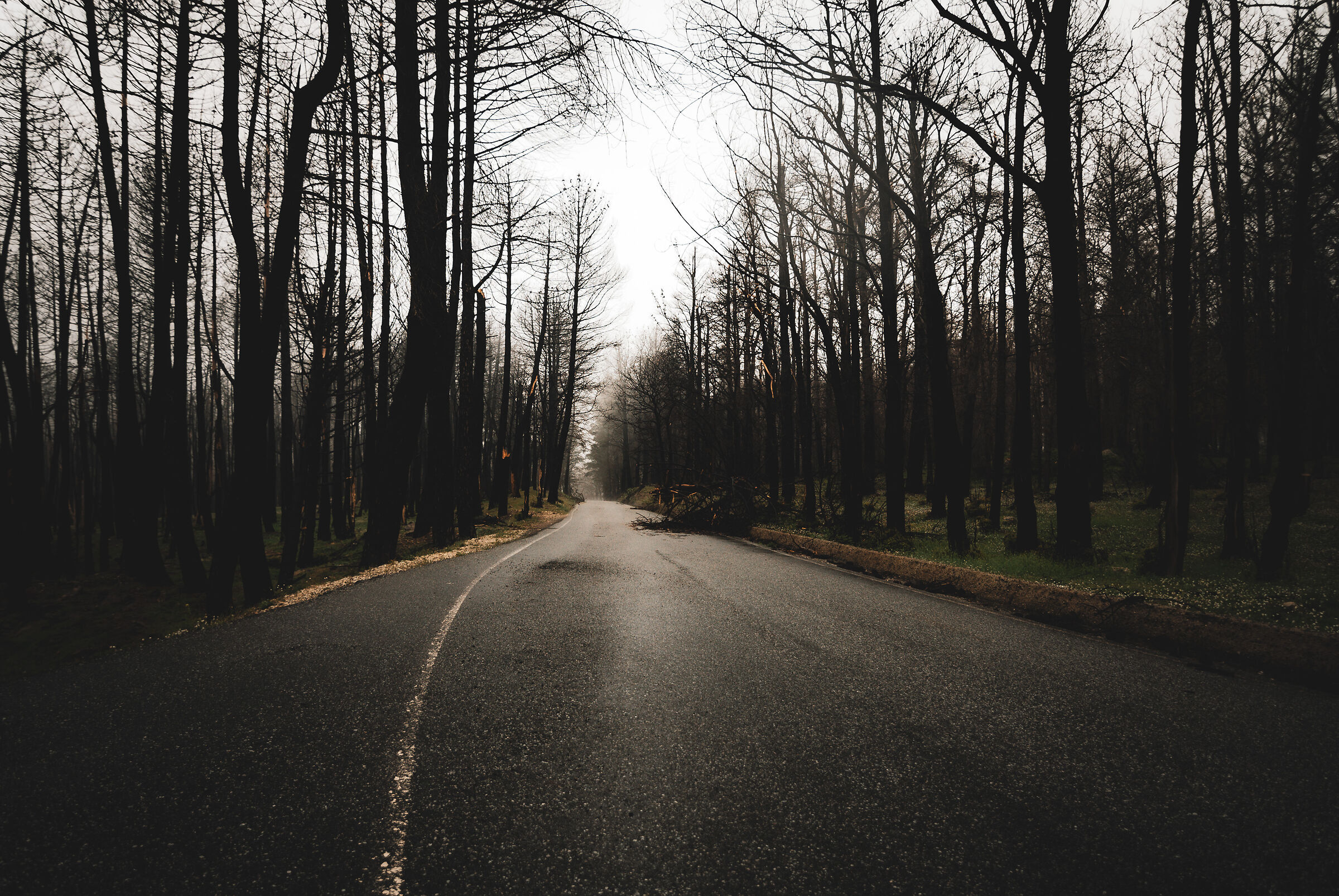Road to Nowhere