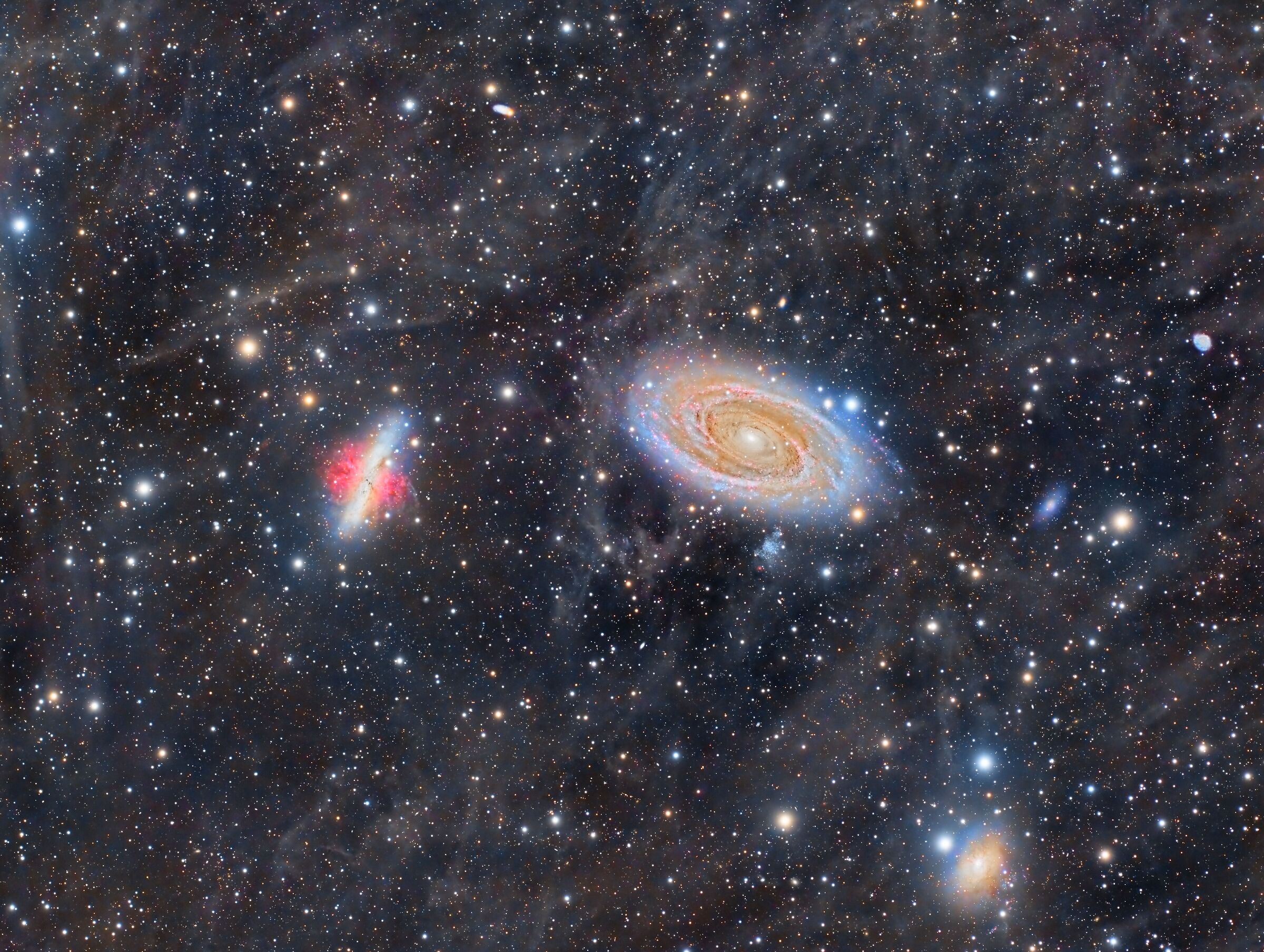 M81-M82 with IFN