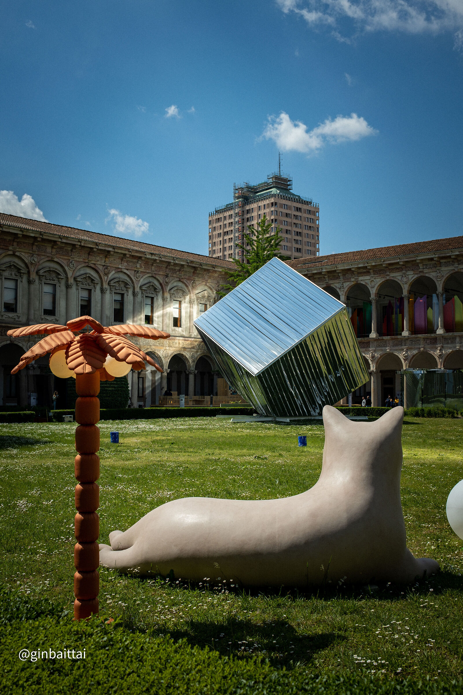 Incantato dai riflessi