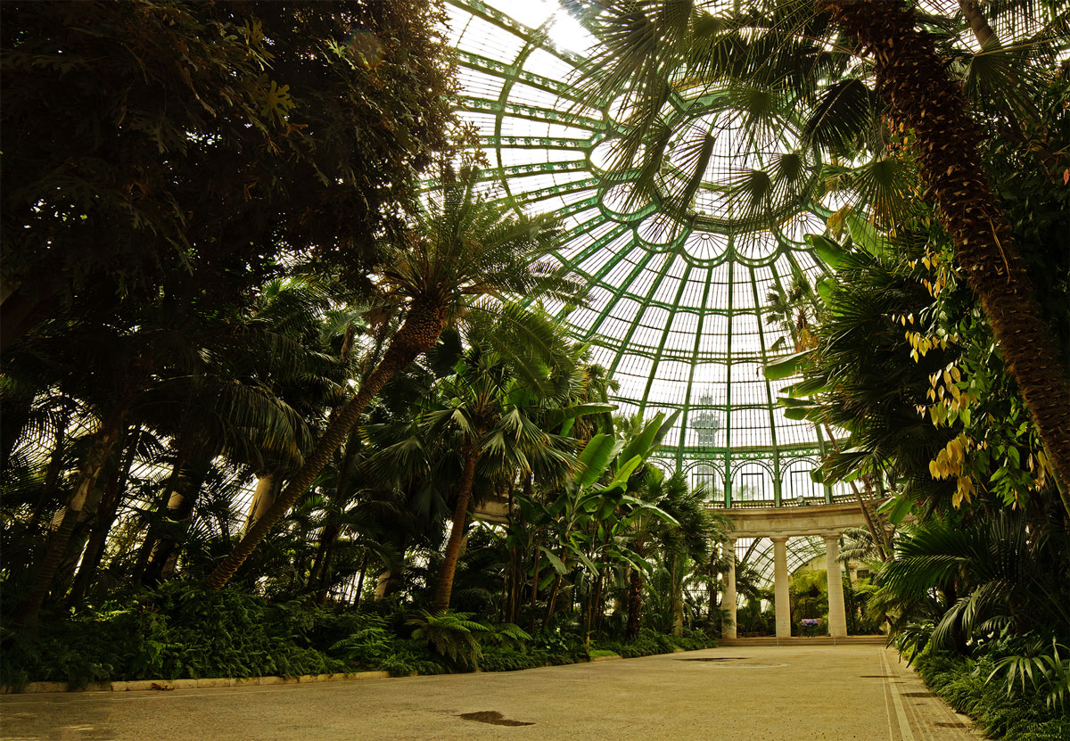 royal greenhouse - brussels
