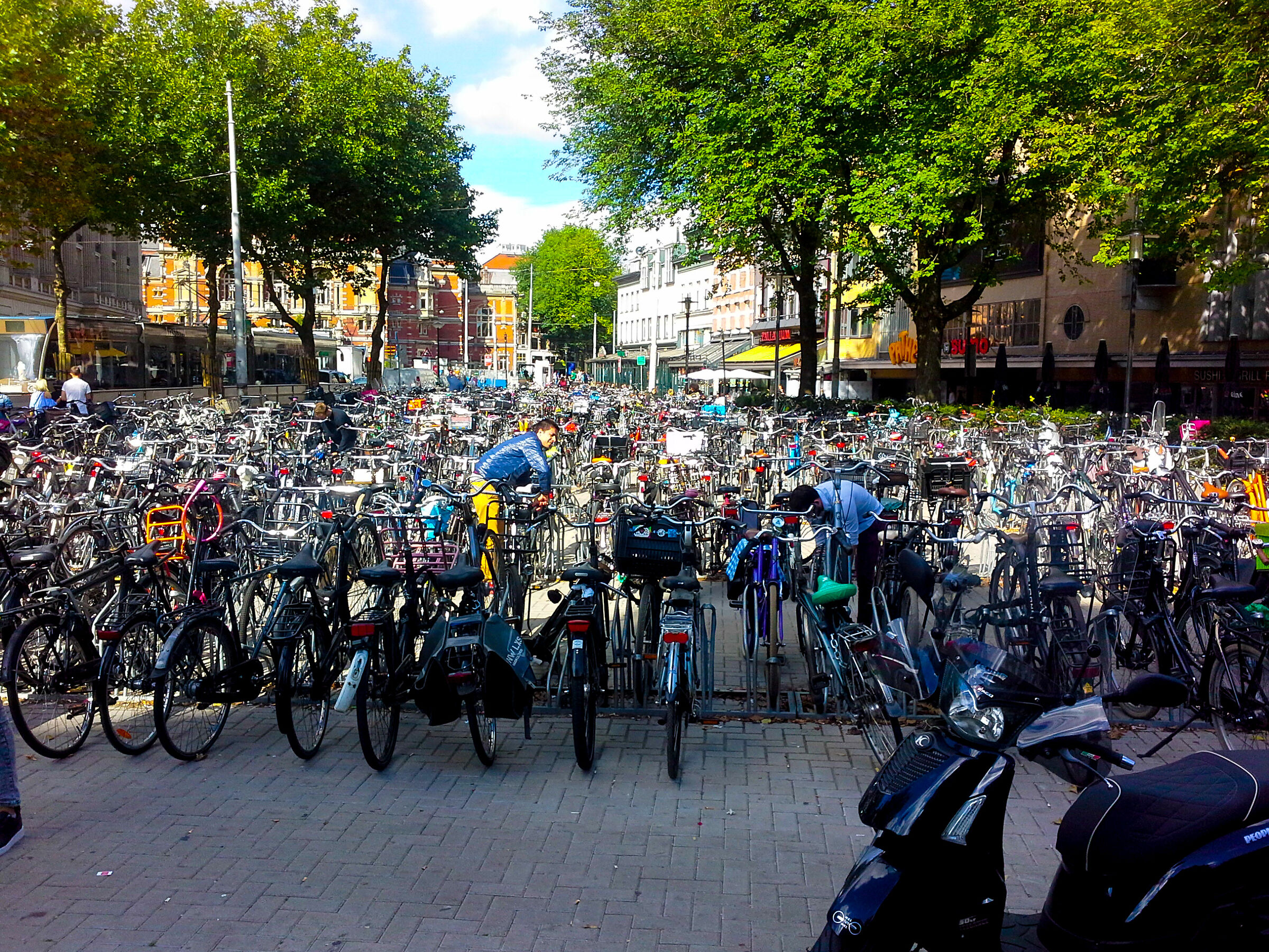 Amsterdam biciclette