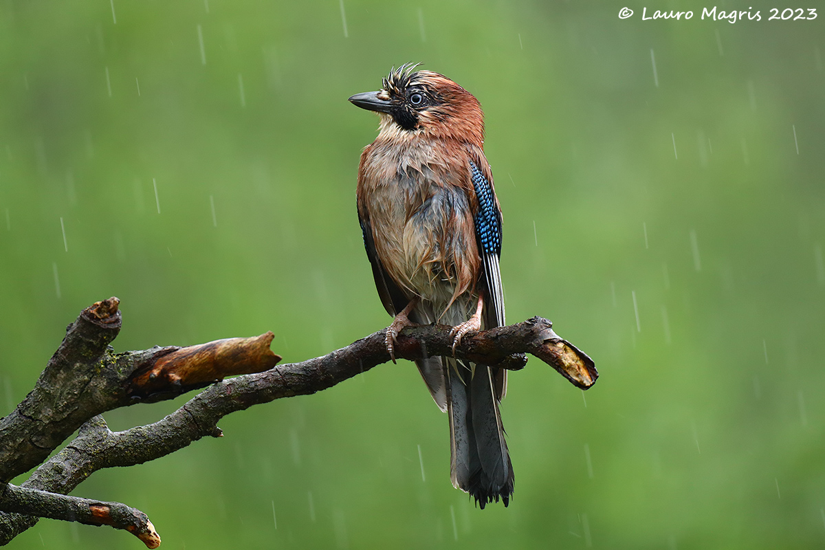 In attesa del sereno
