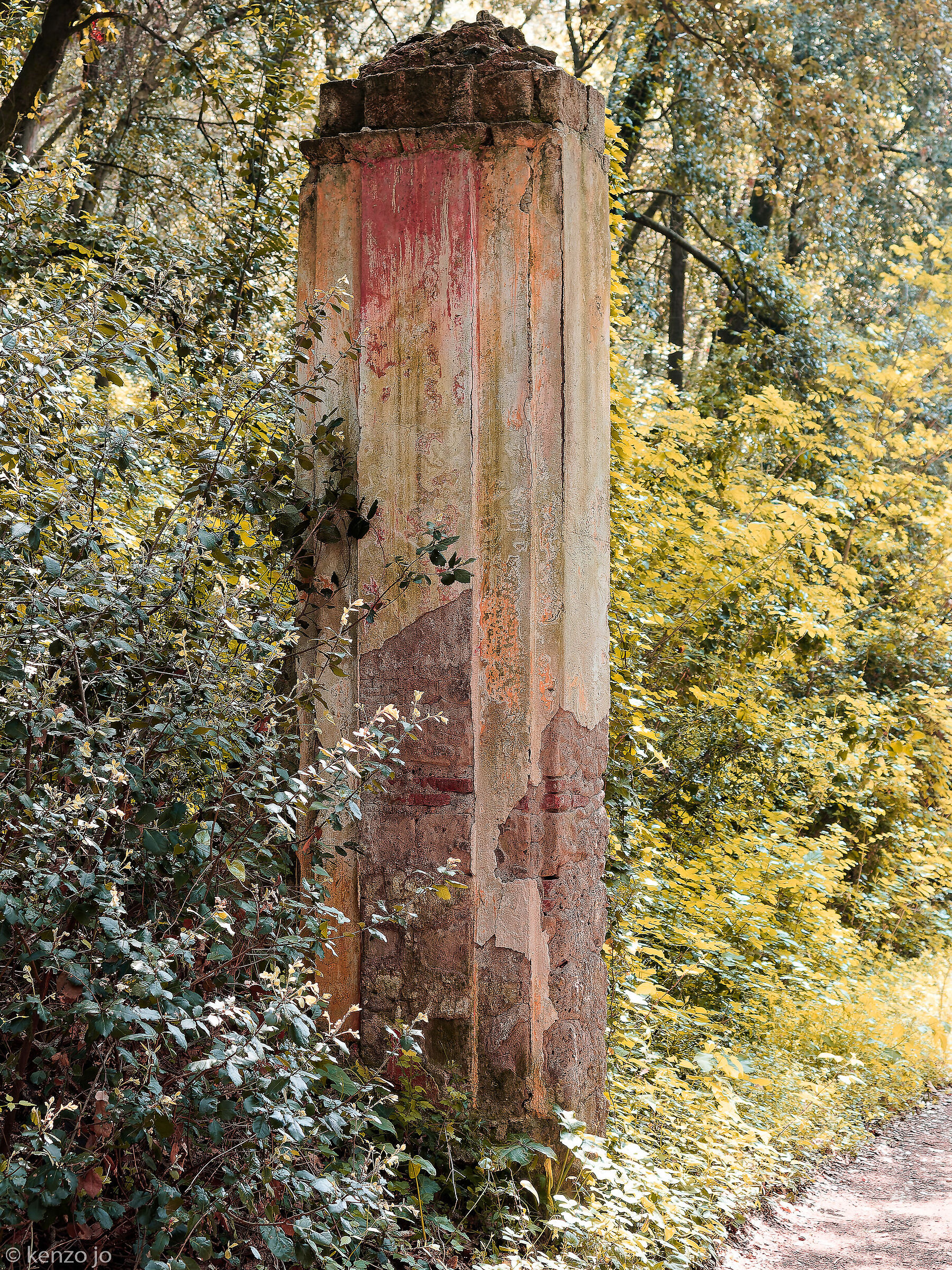 Memories from the forest