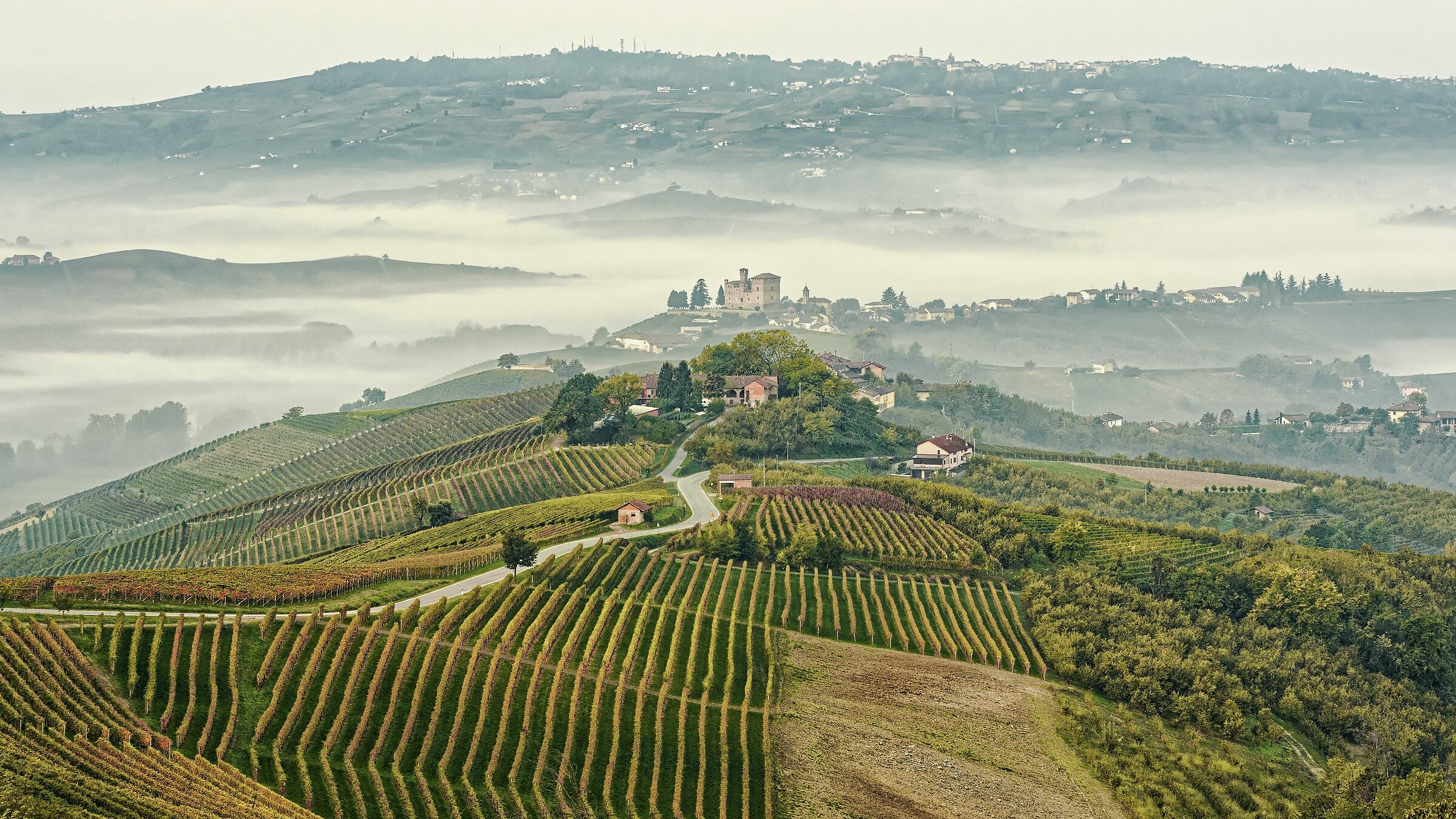 Morning fog