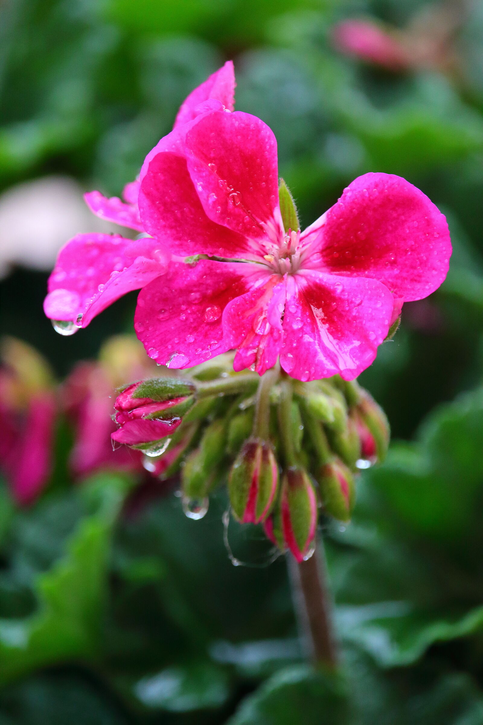 Untitled Photo
