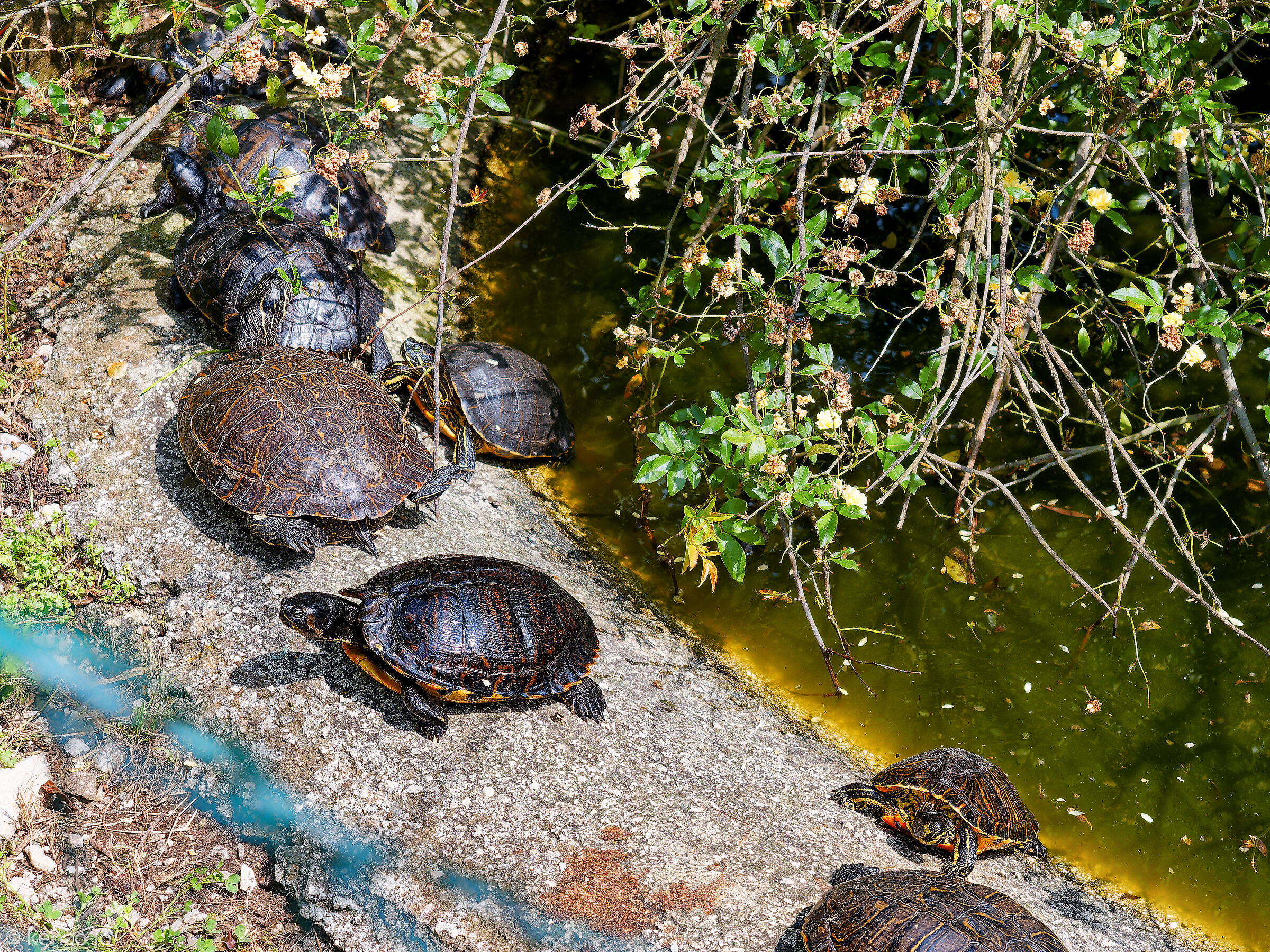 In the sun and hungry