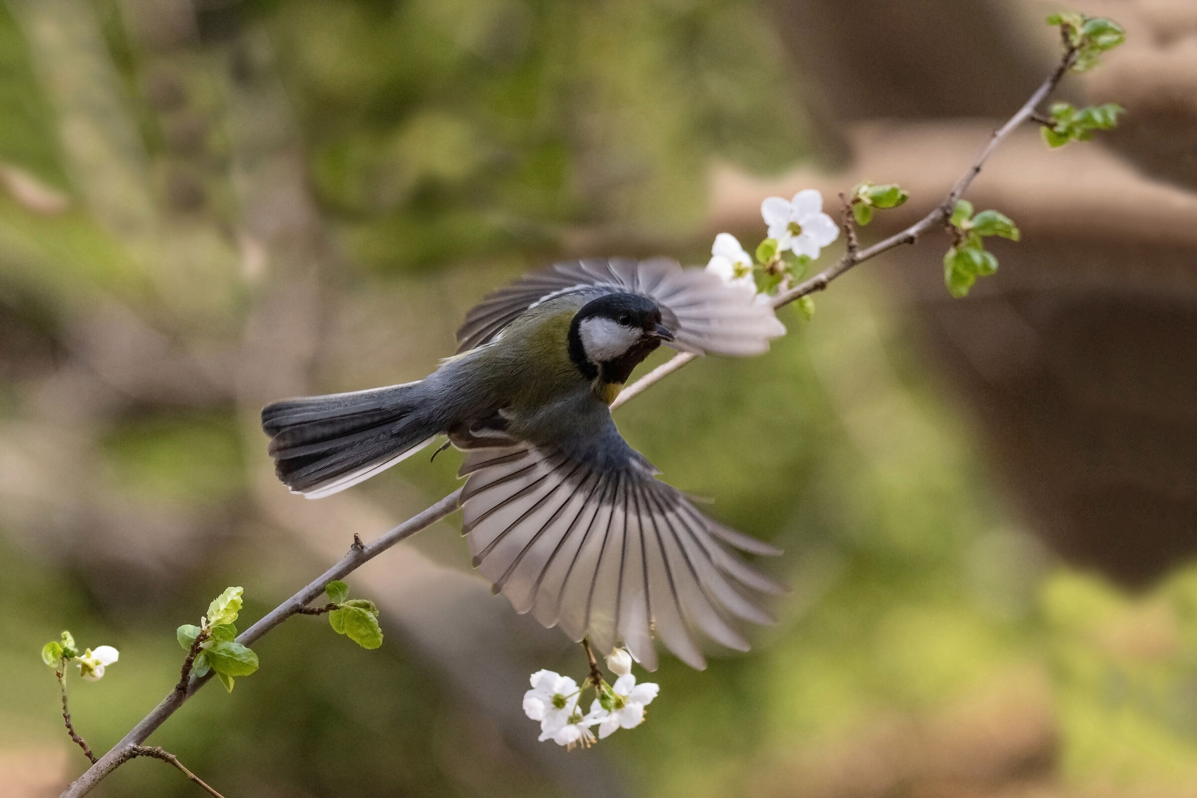 Un frullo e viaaaaa!
