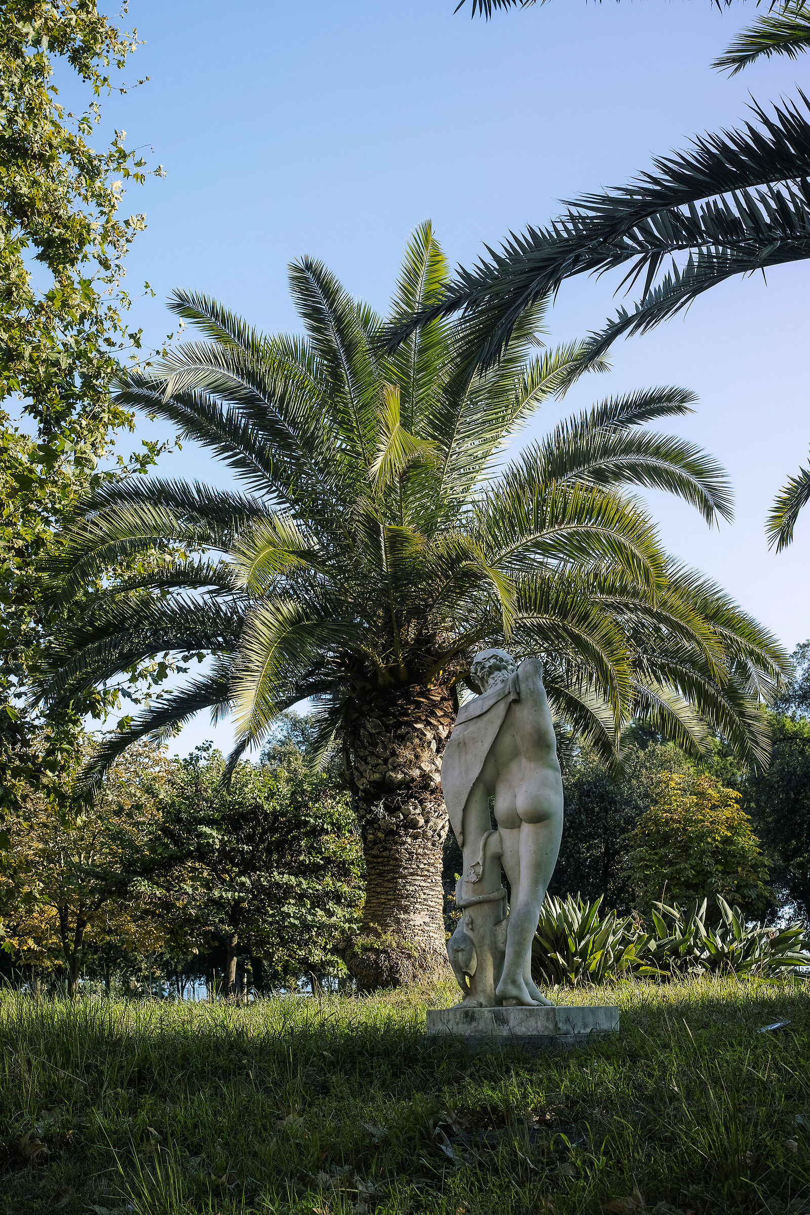 Statua o palma, chi è il soggetto principale....