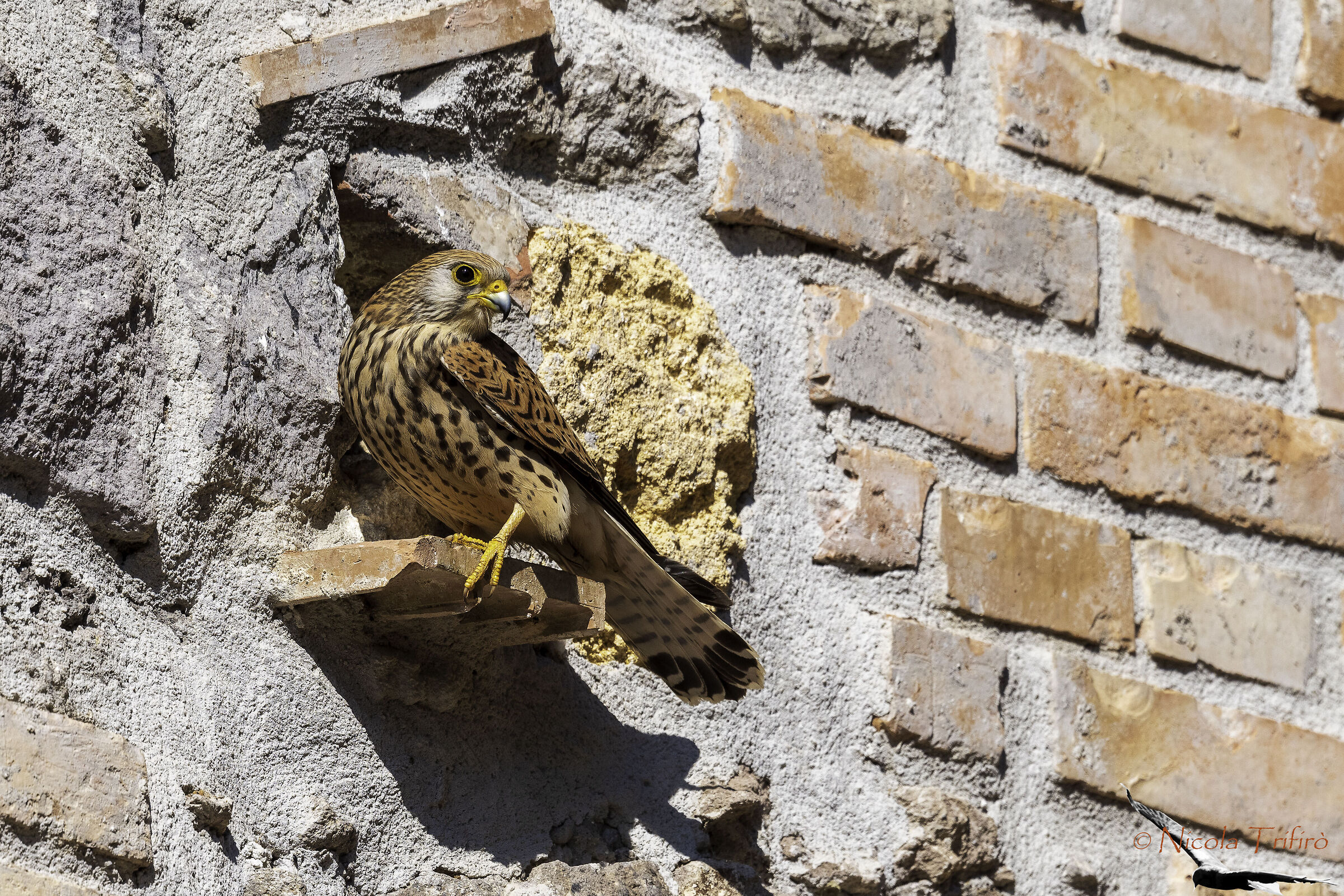 waiting on the doorstep