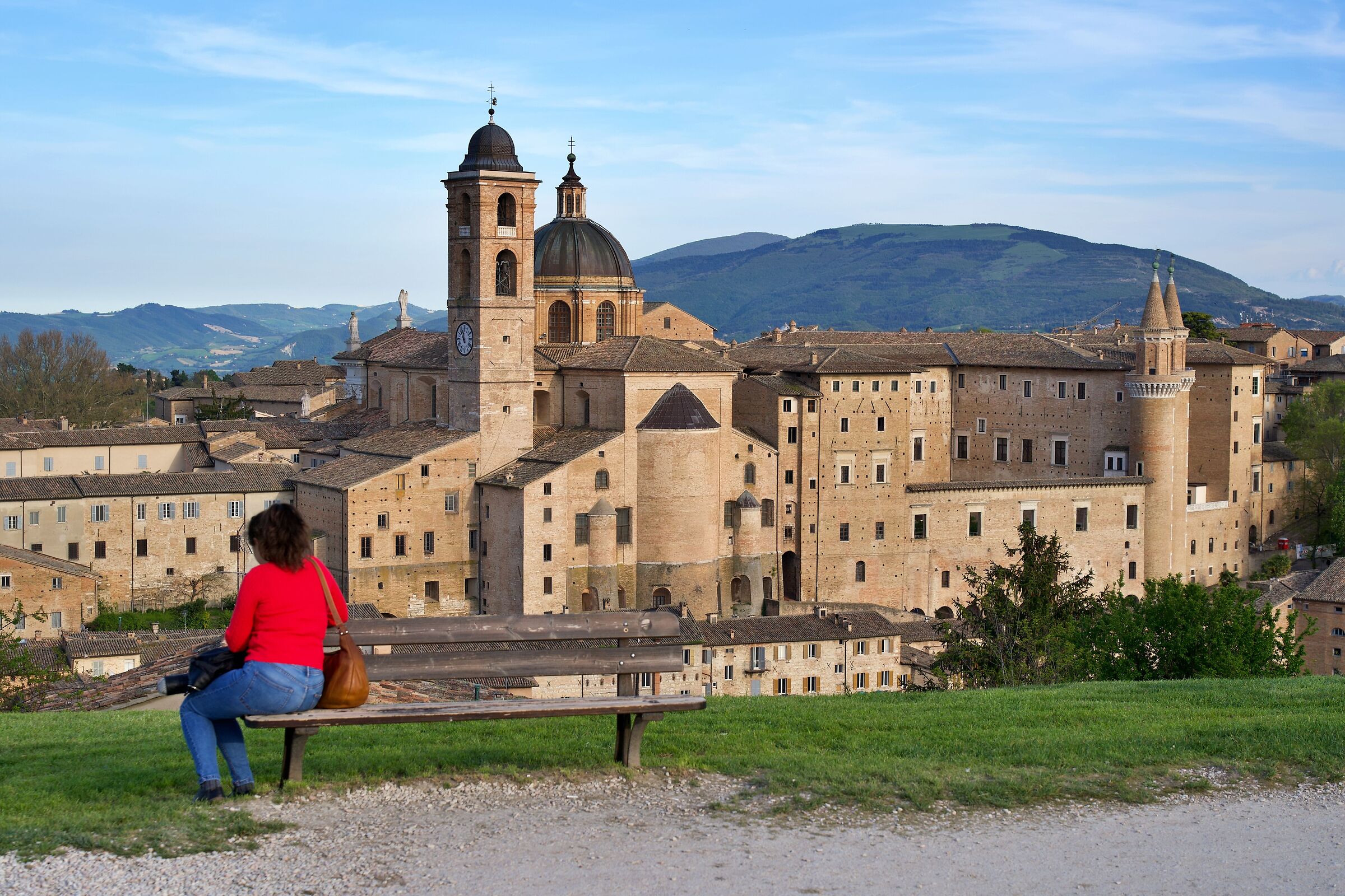 Urbino