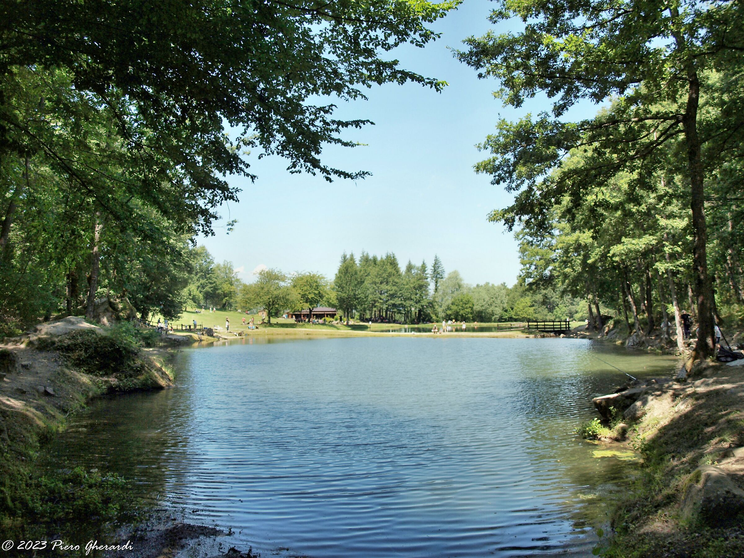 Viaggi