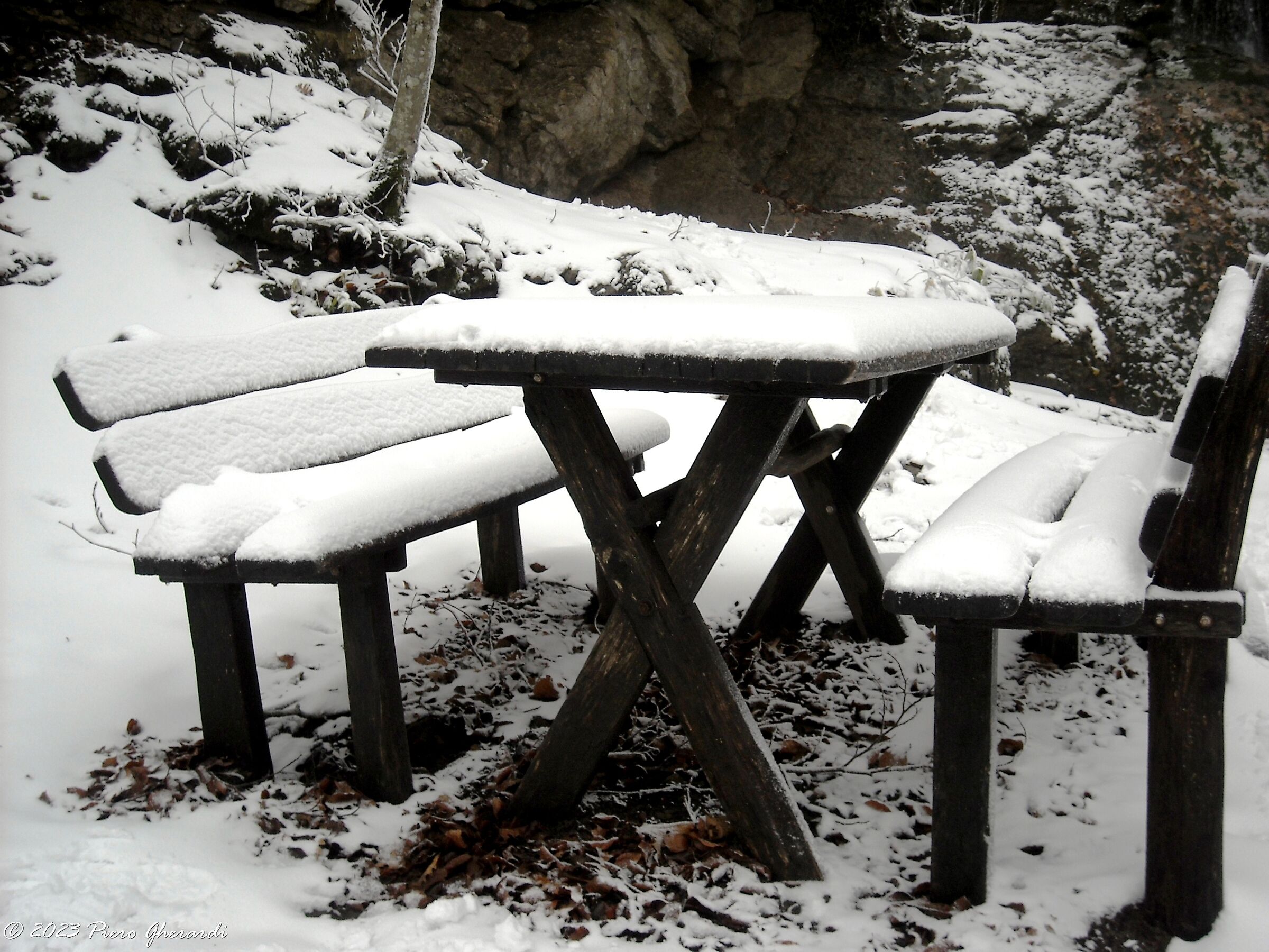 Neve