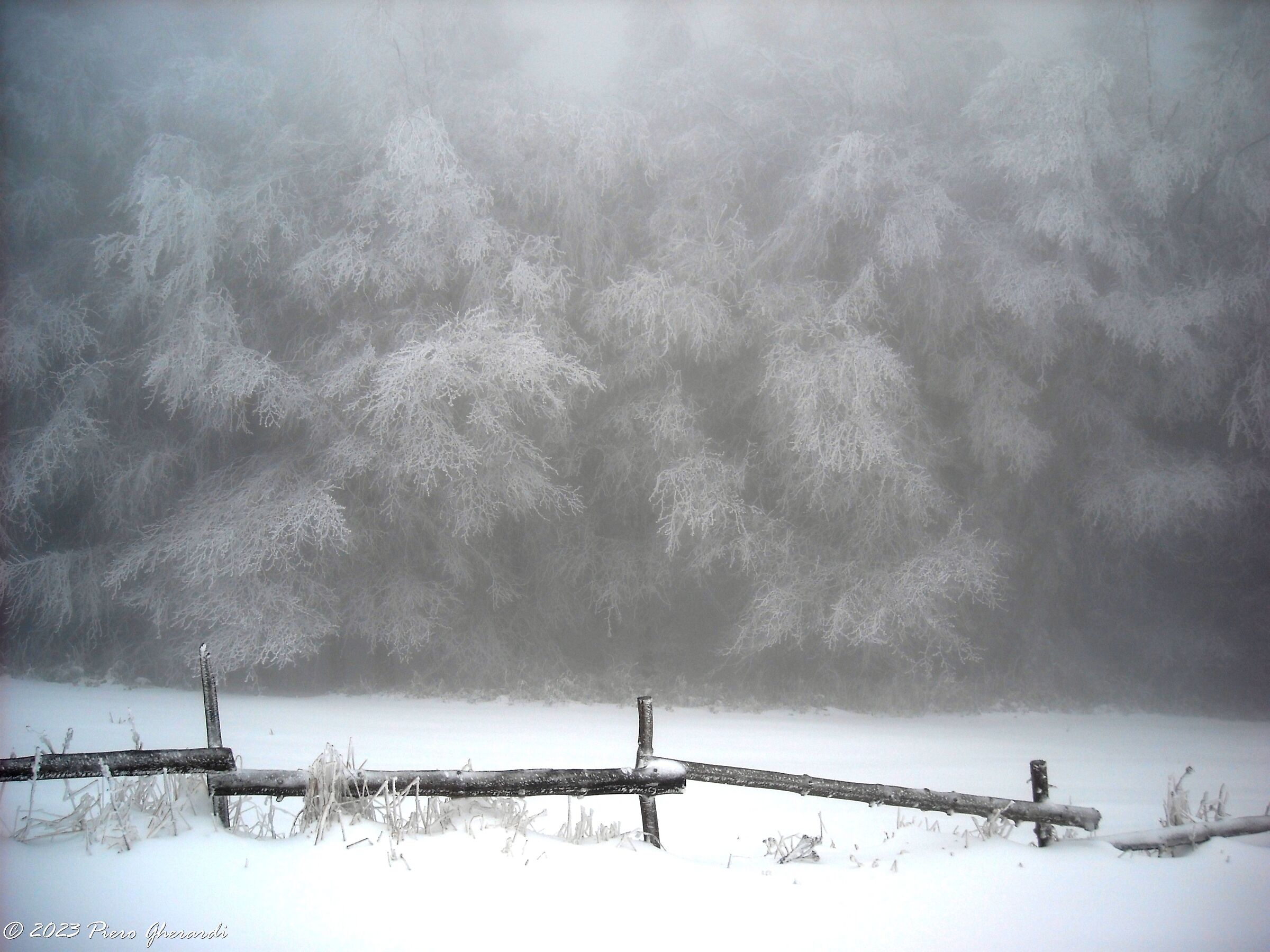 Neve