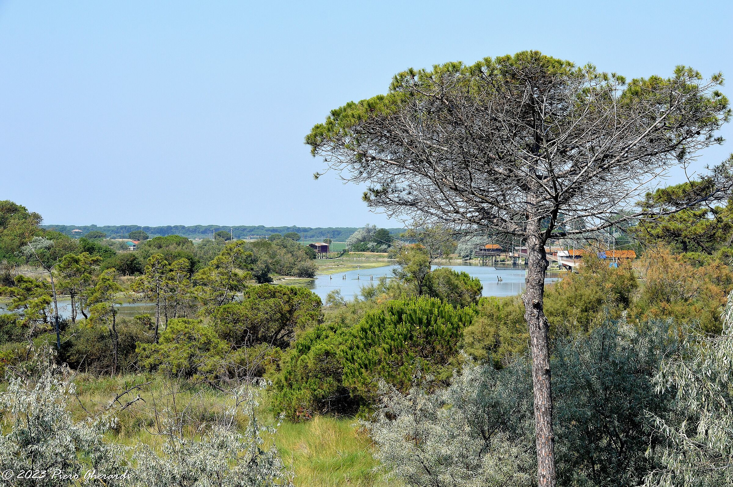 Foce Bevano