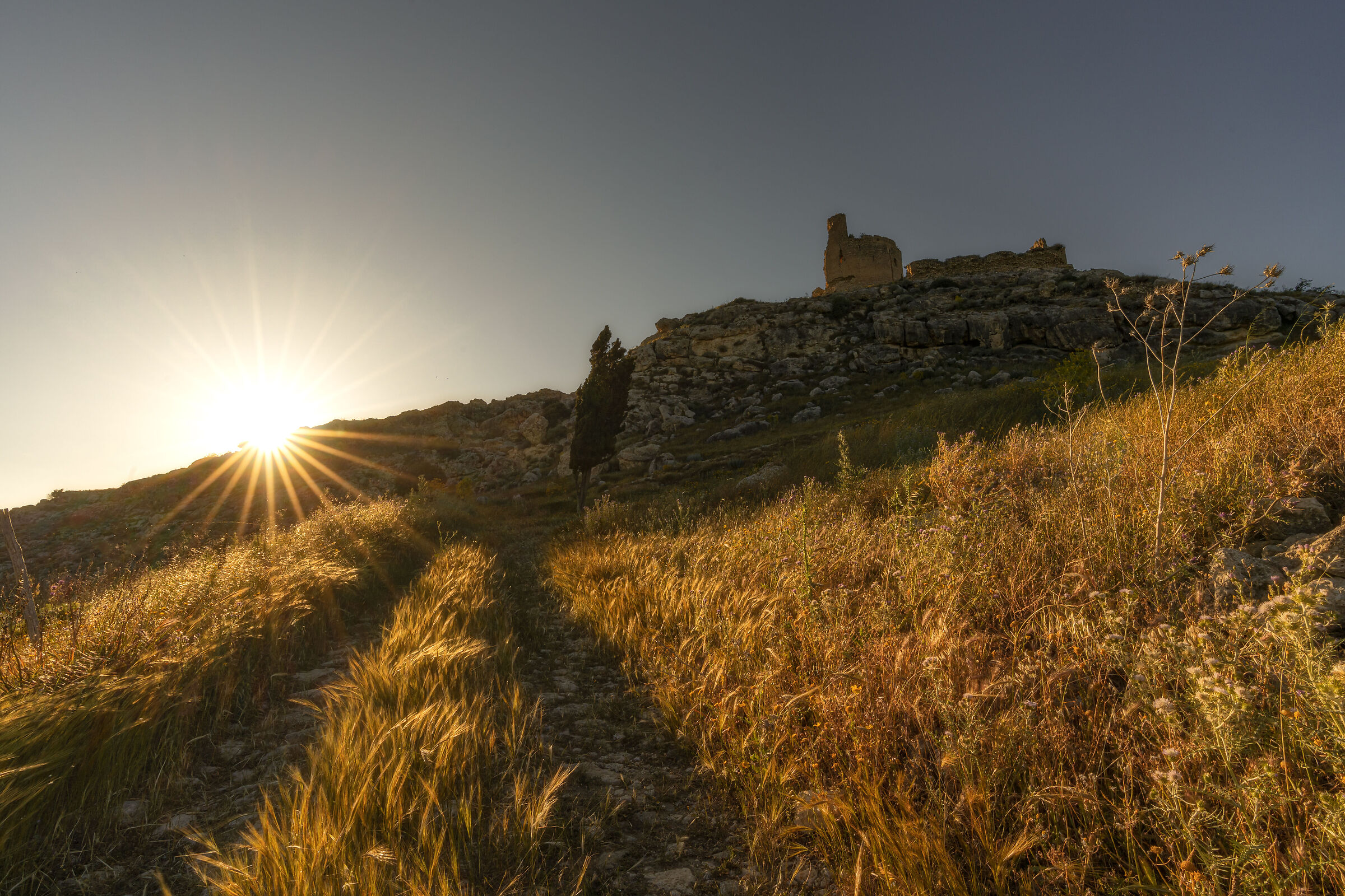 tamonti siciliani castello mongialino