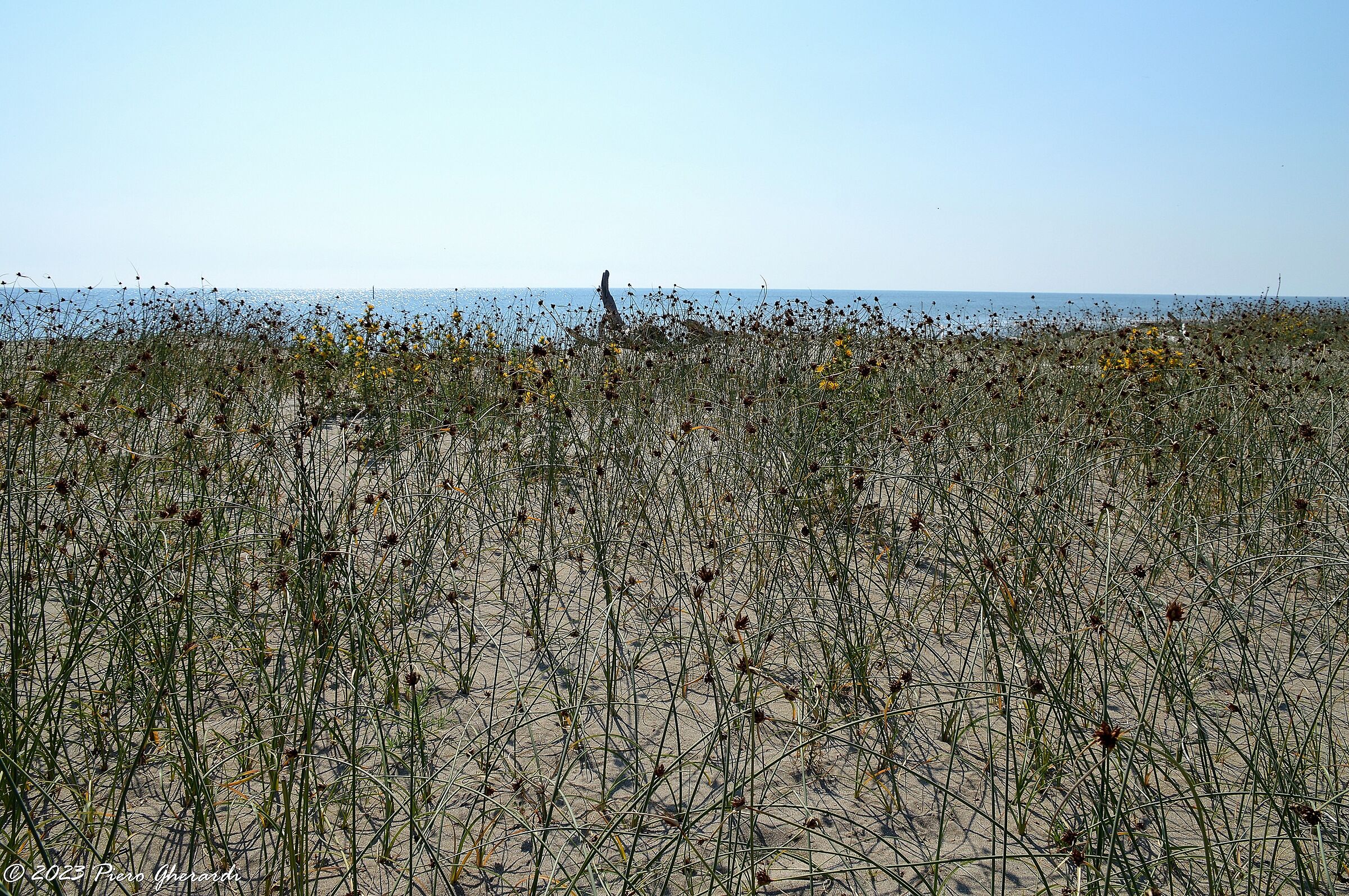 Spiaggia