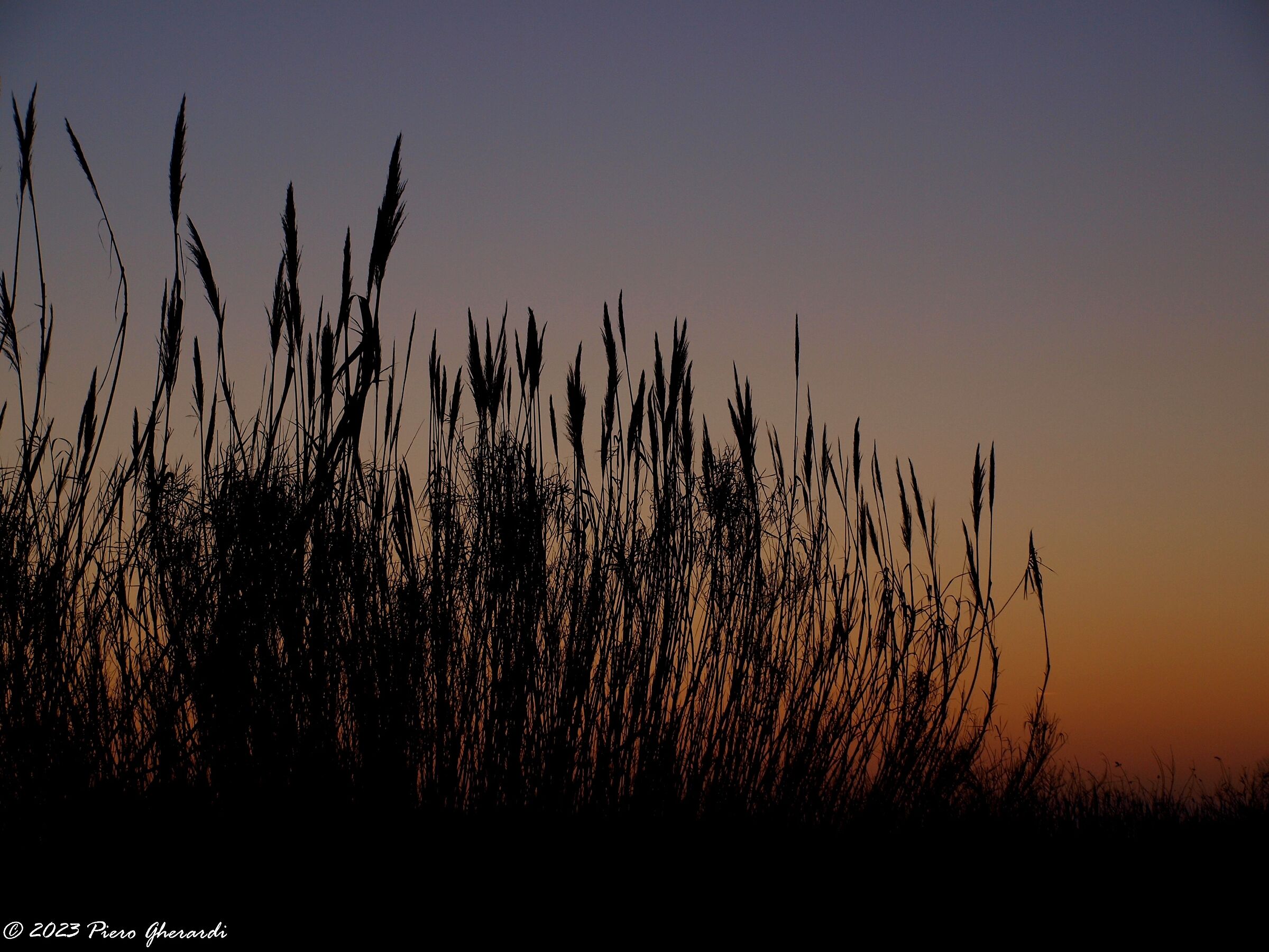 Tramonto