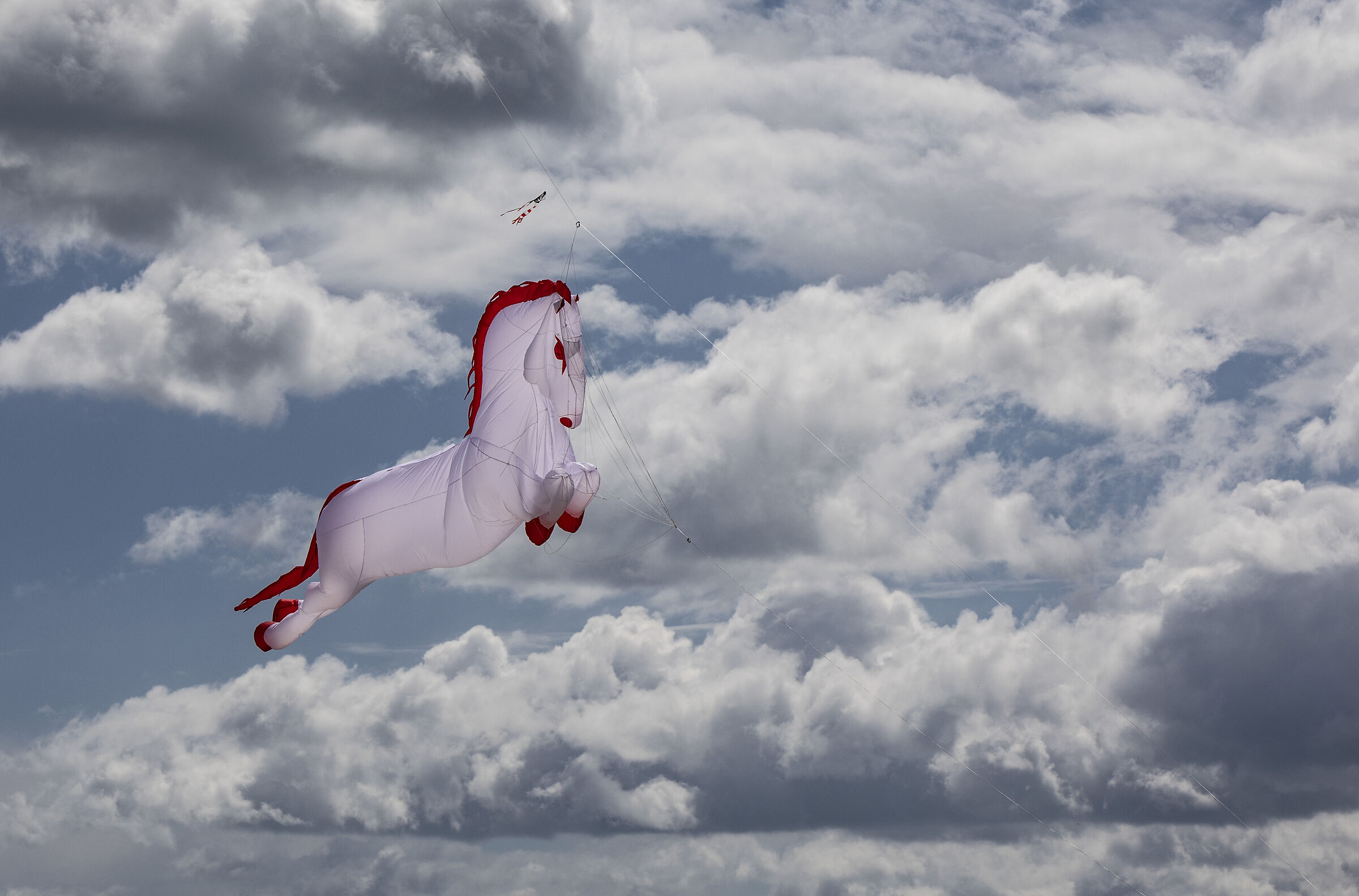 Galoppando nel cielo