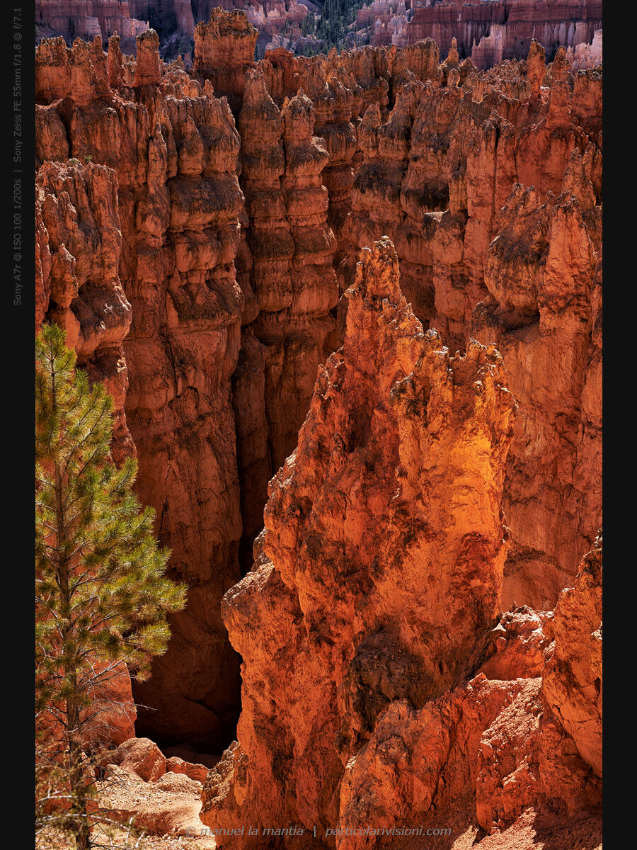 Bryce Canyon - Navajo Loop