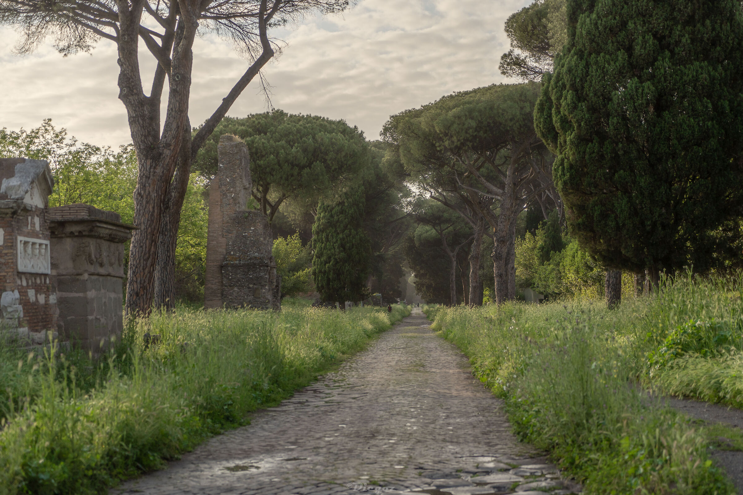TOWARDS THE ETERNAL CITY
