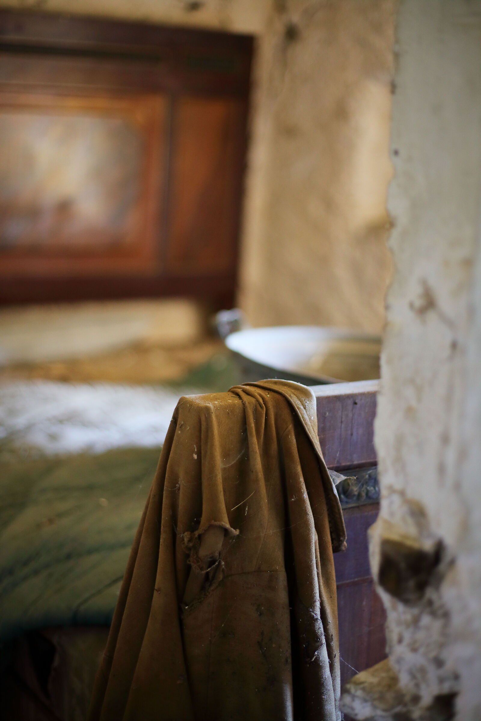 Untitled Photo
